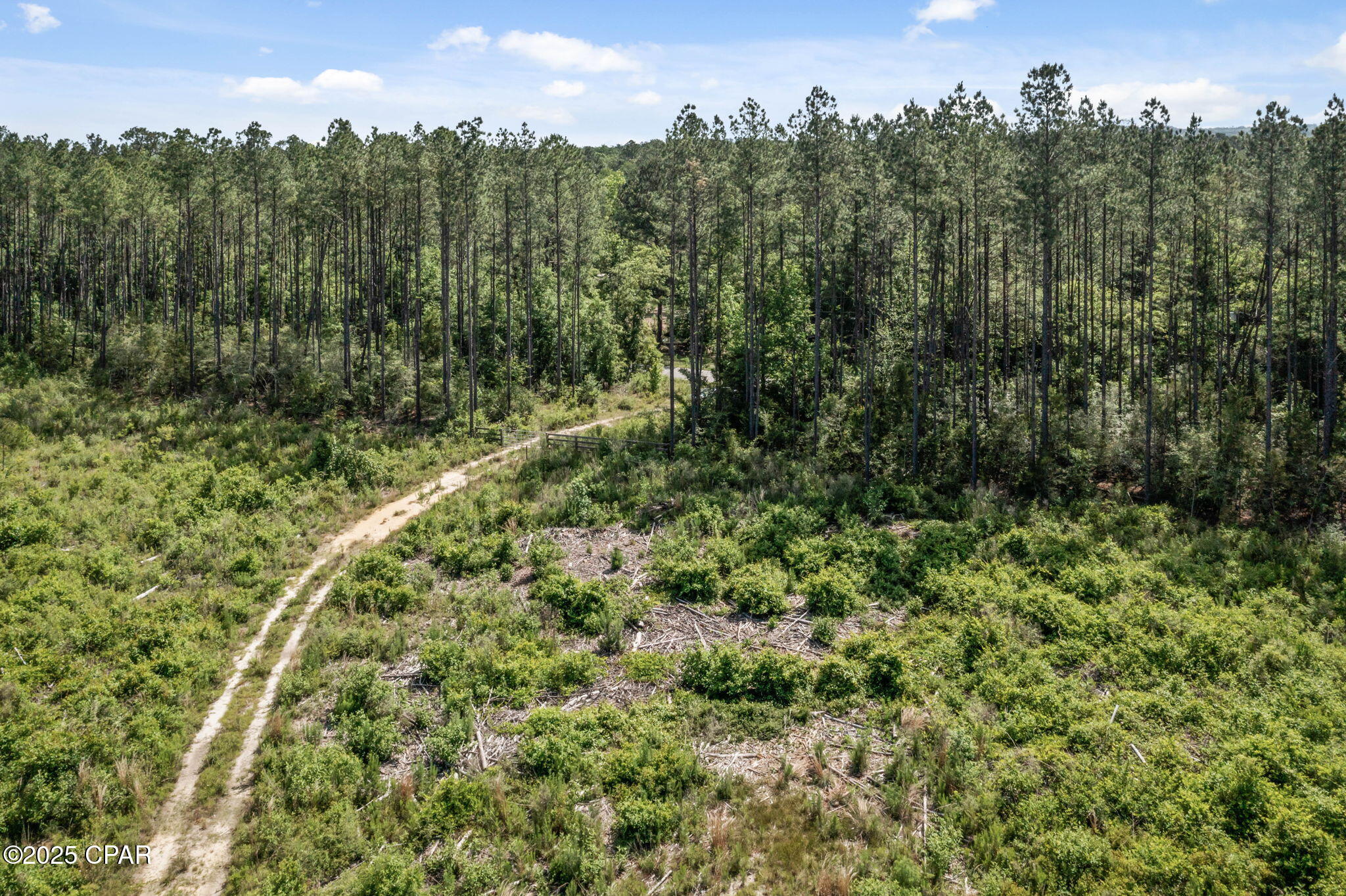 XXX Tiller Road, Chipley, Florida image 4