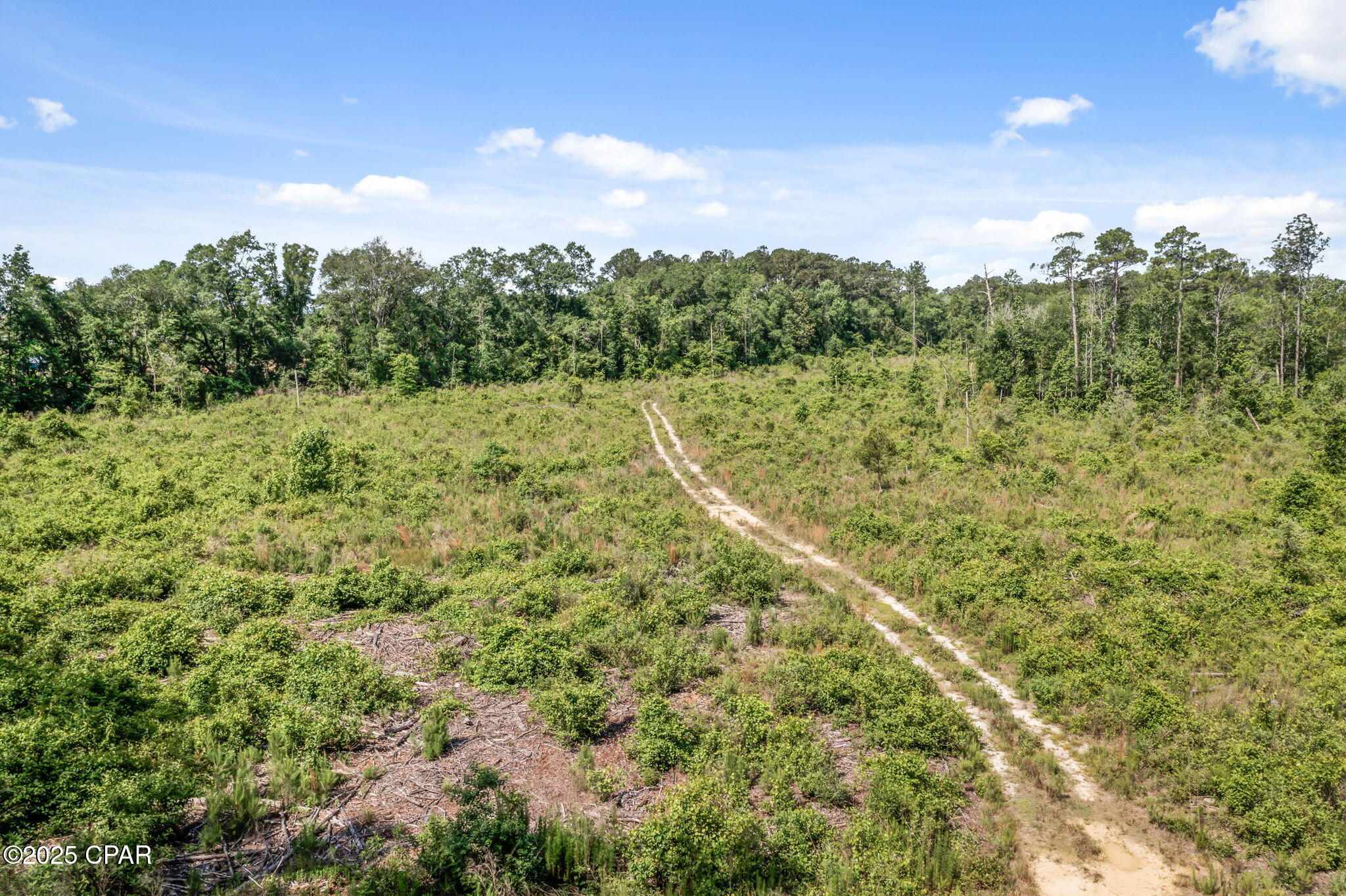 XXX Tiller Road, Chipley, Florida image 5
