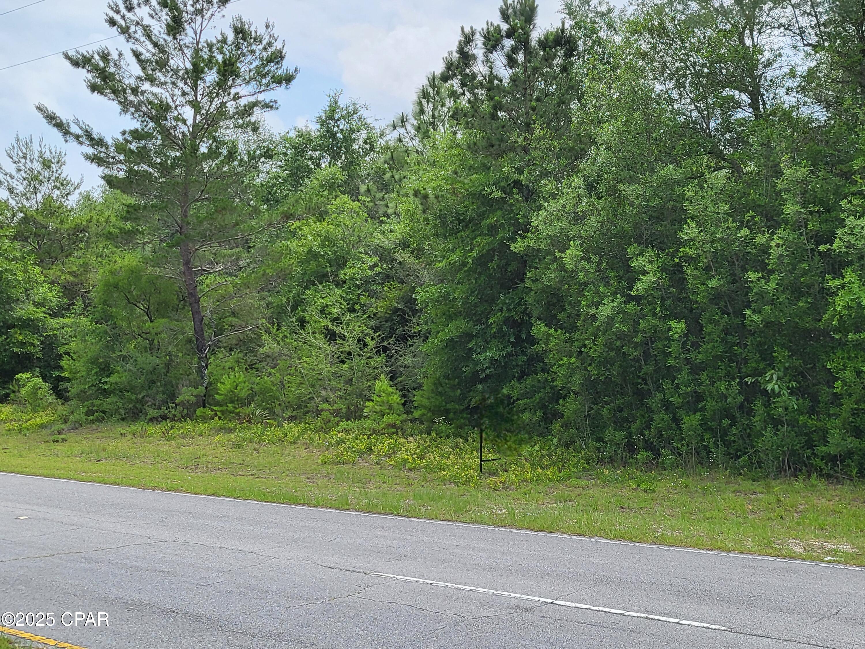 TBD Deltona Boulevard, Chipley, Florida image 4