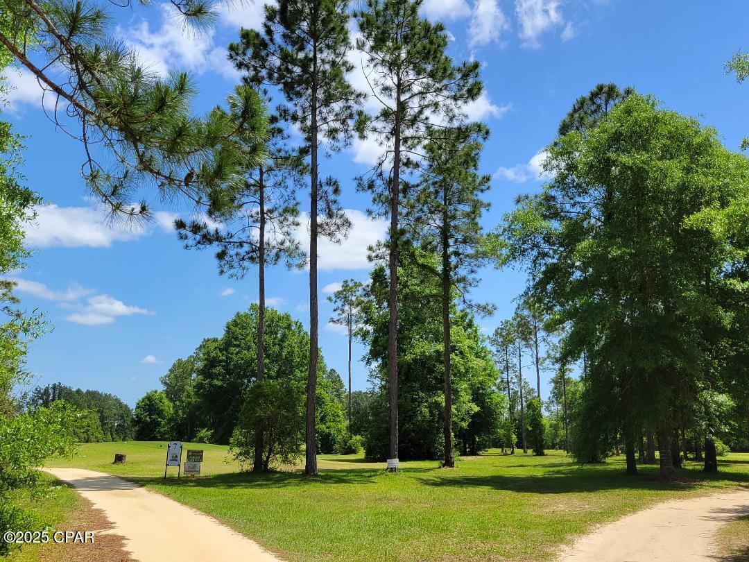 Lot 18 Fusion Circle, Chipley, Florida image 4