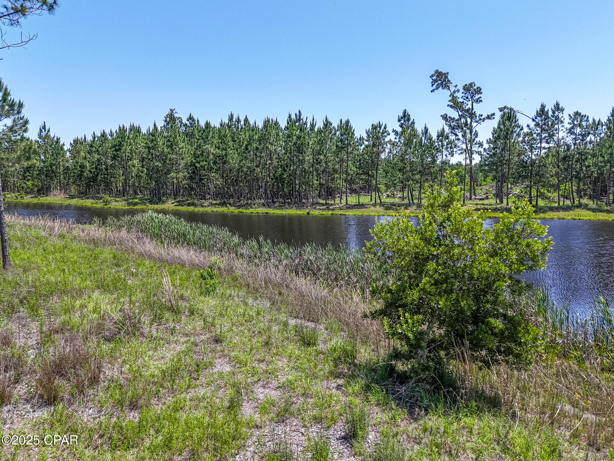 110 Calmwater Circle, Wewahitchka, Florida image 24