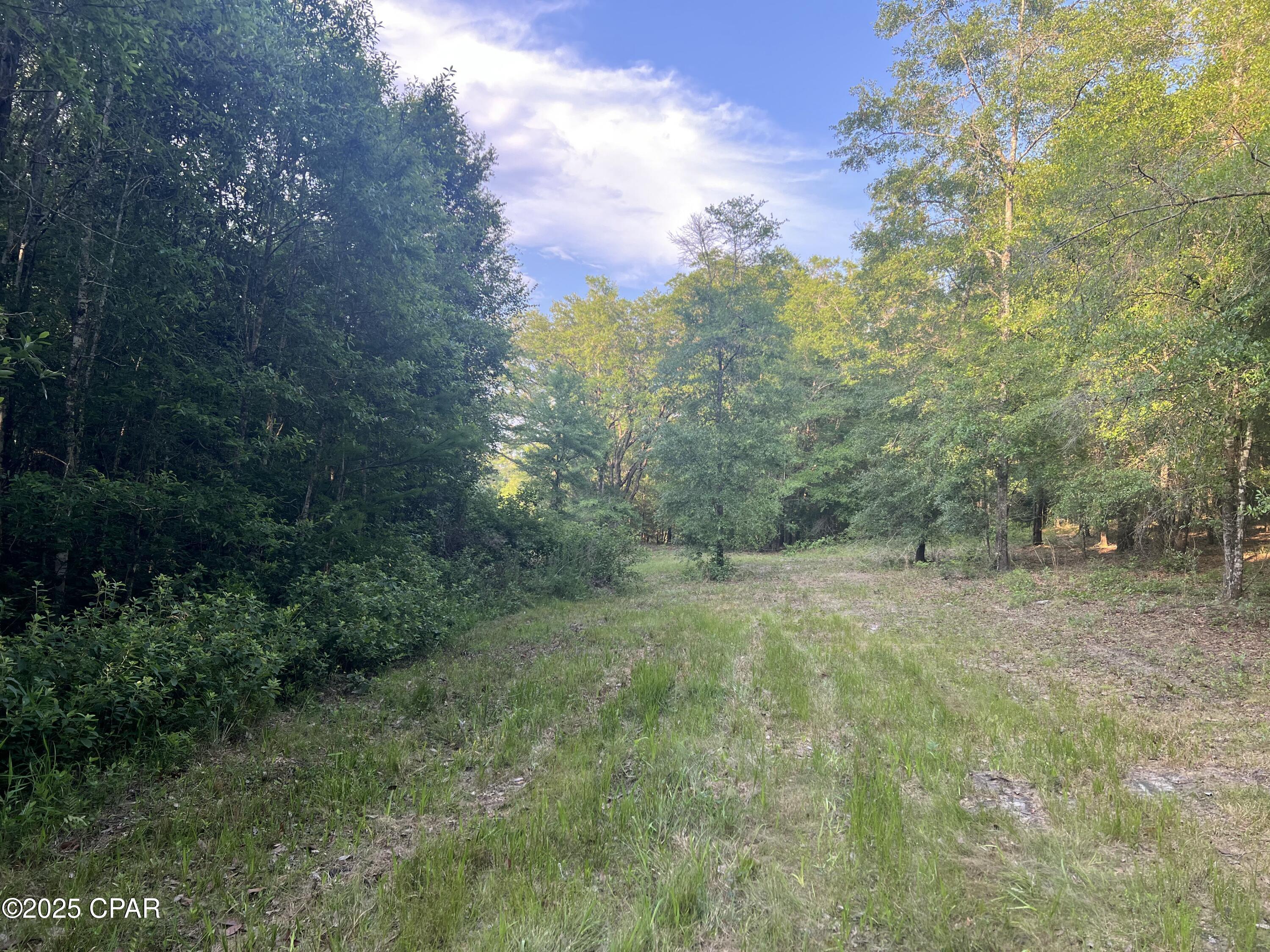 1750 Turkey Oak Trail, Bonifay, Florida image 11