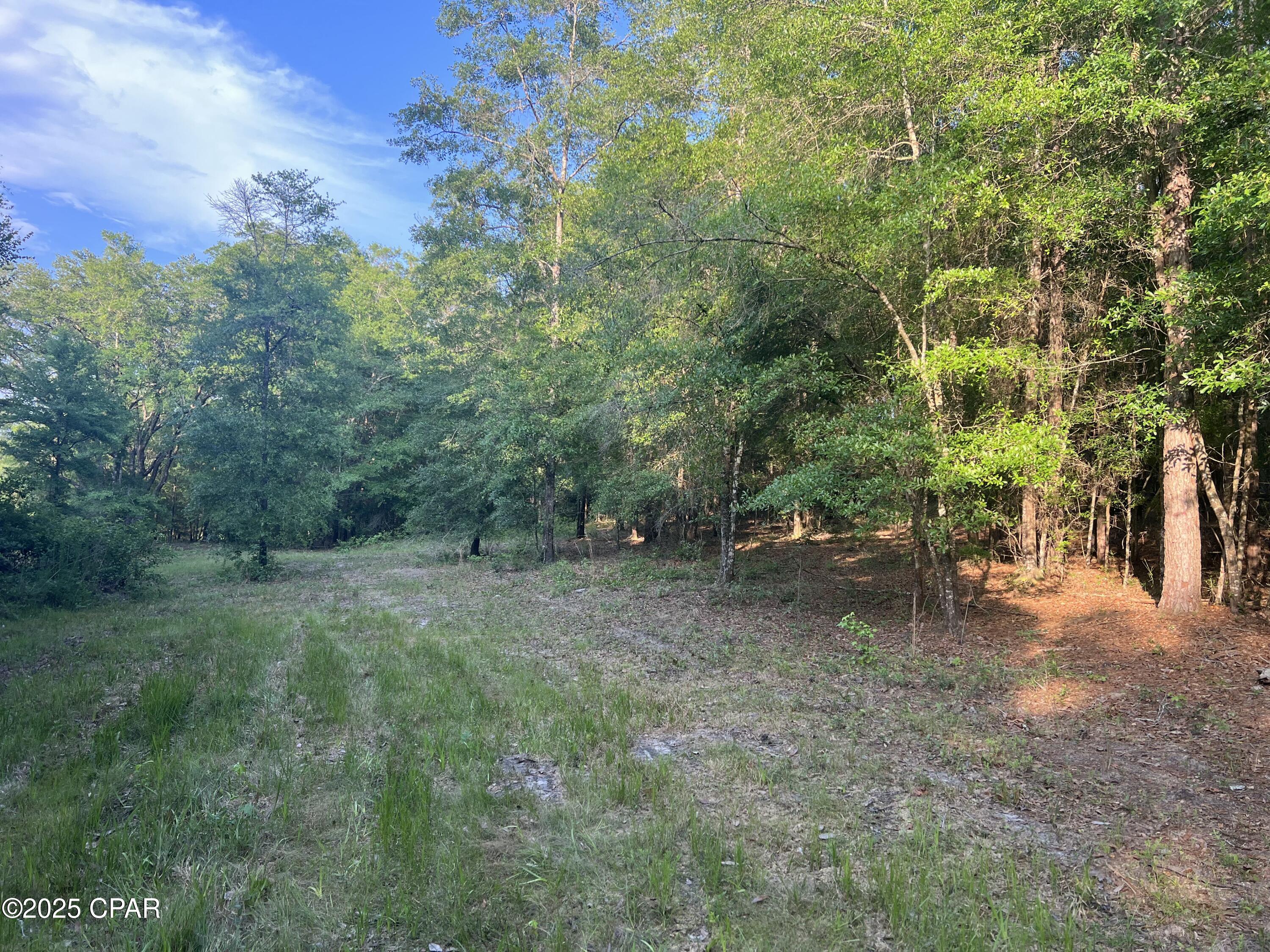 1750 Turkey Oak Trail, Bonifay, Florida image 12