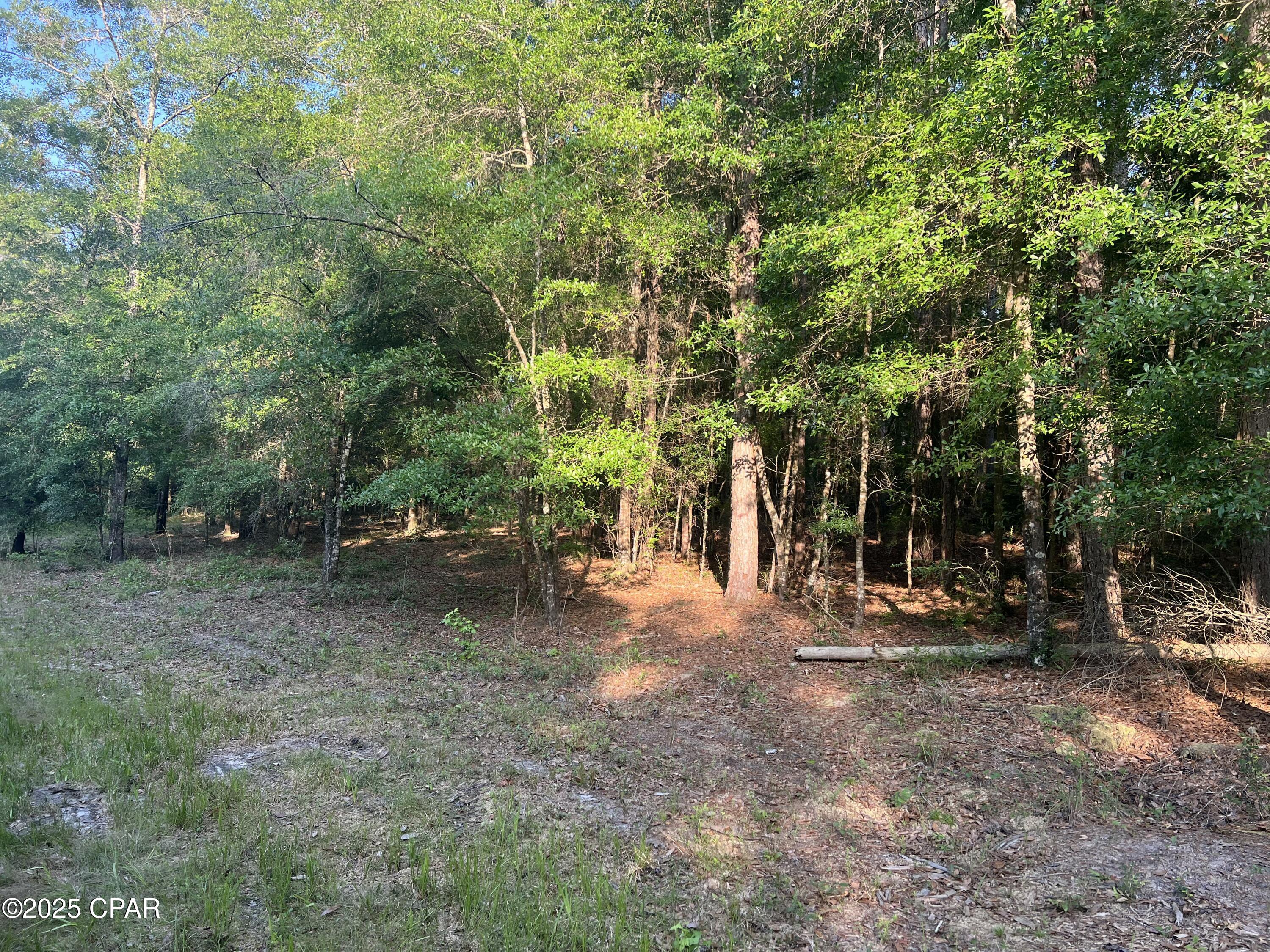 Image 13 For 1750 Turkey Oak Trail