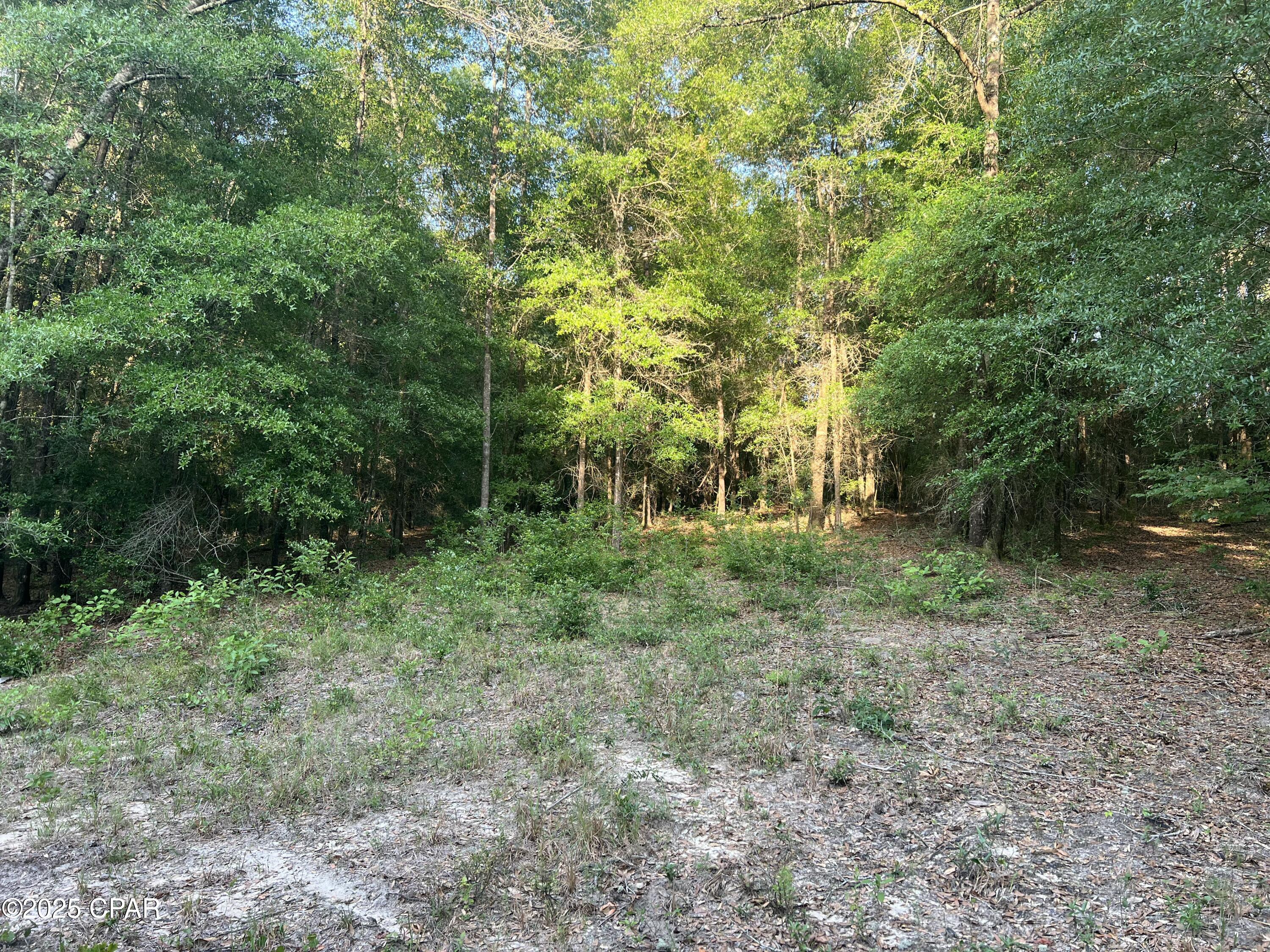 1750 Turkey Oak Trail, Bonifay, Florida image 14