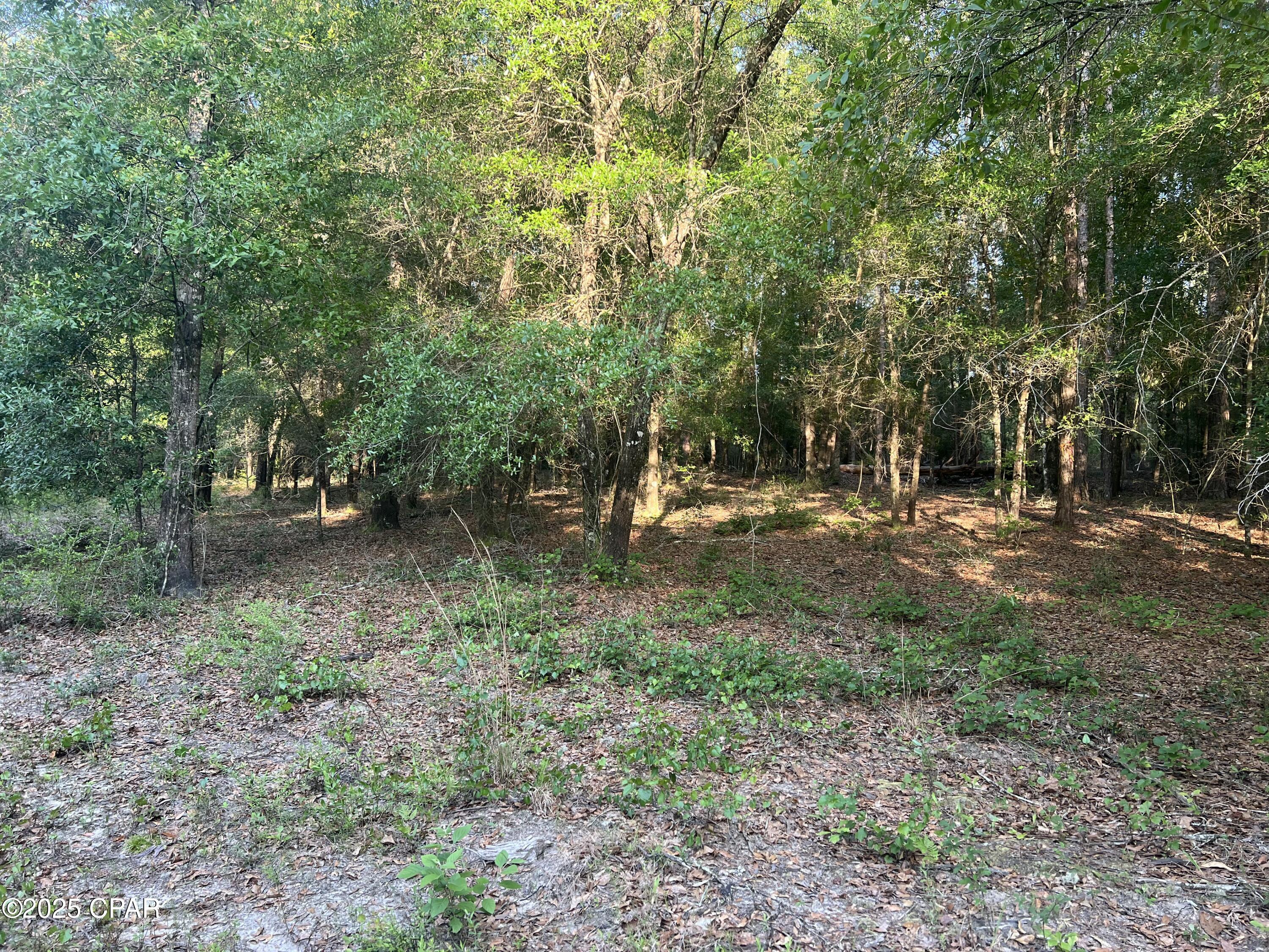 1750 Turkey Oak Trail, Bonifay, Florida image 15