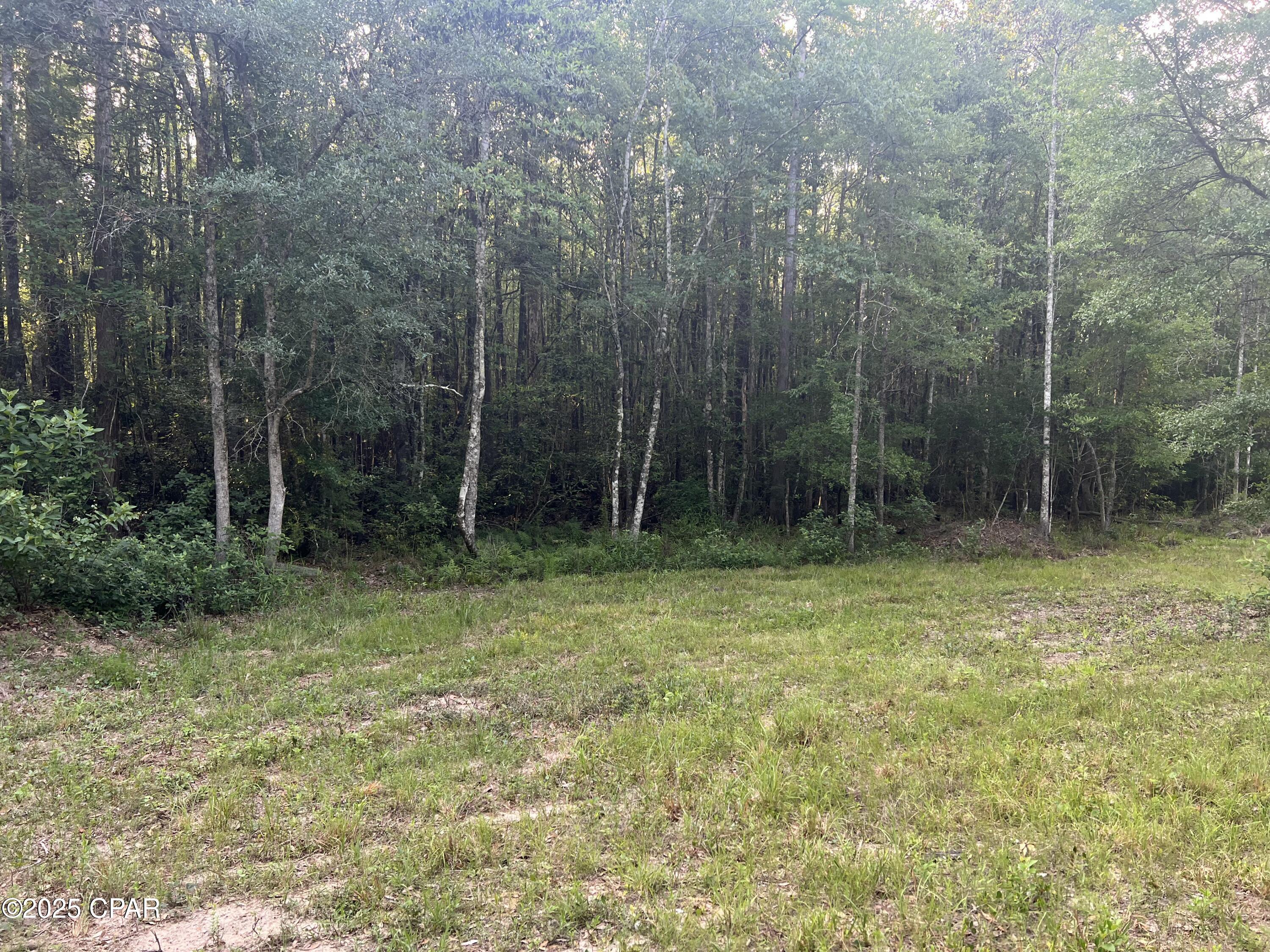 Listing photo id 16 for 1750 Turkey Oak Trail