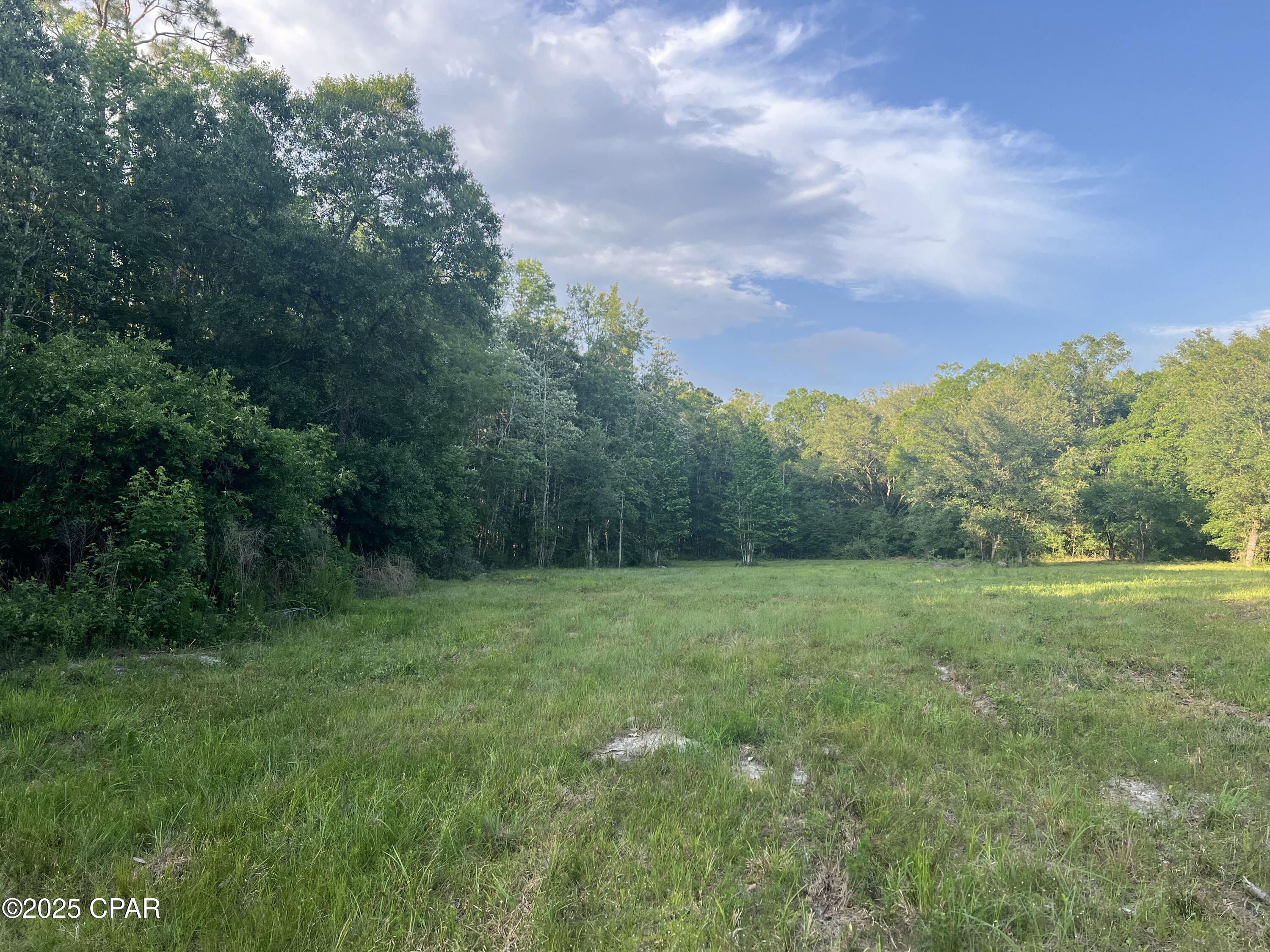 1750 Turkey Oak Trail, Bonifay, Florida image 19