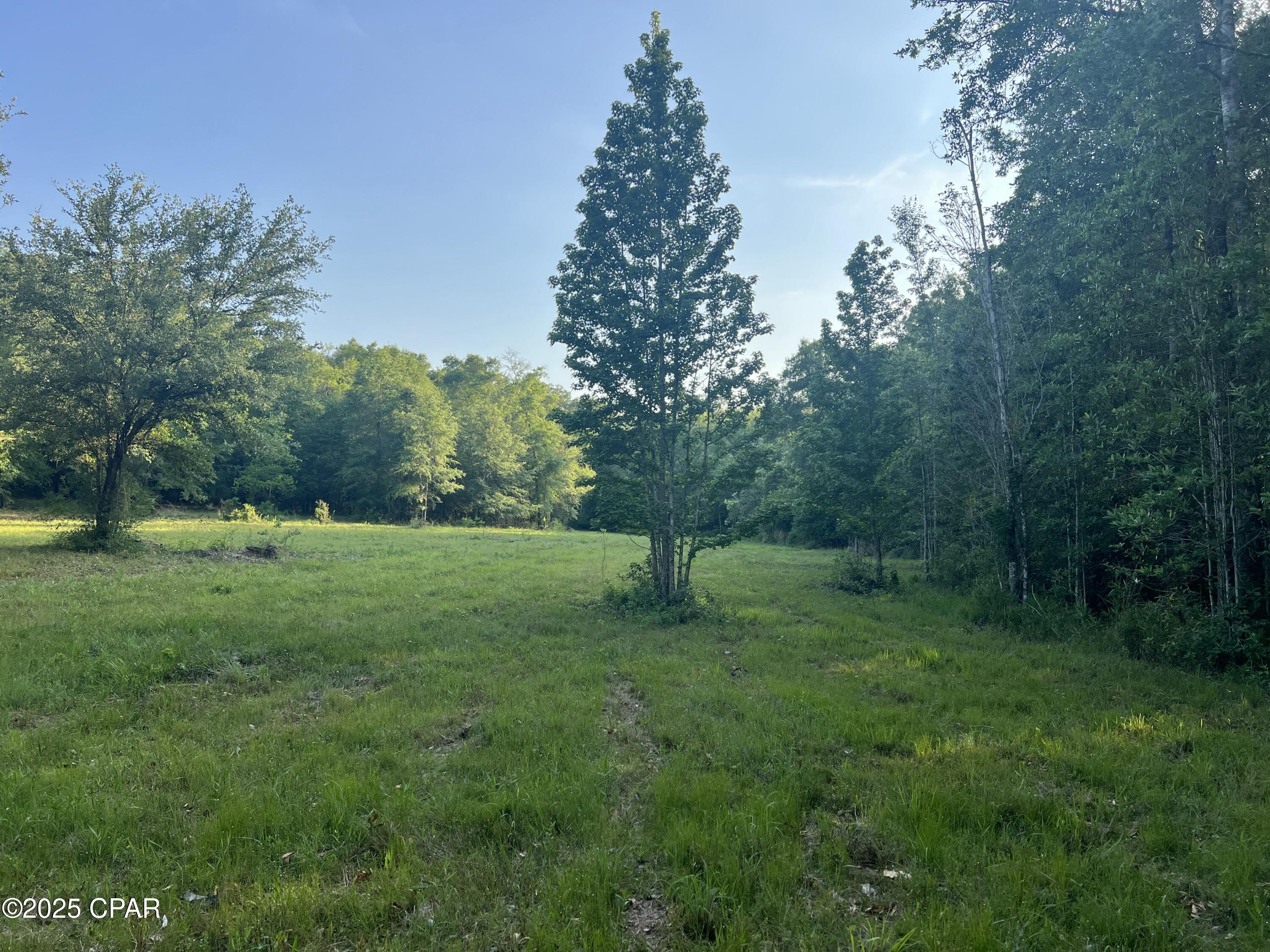 1750 Turkey Oak Trail, Bonifay, Florida image 23