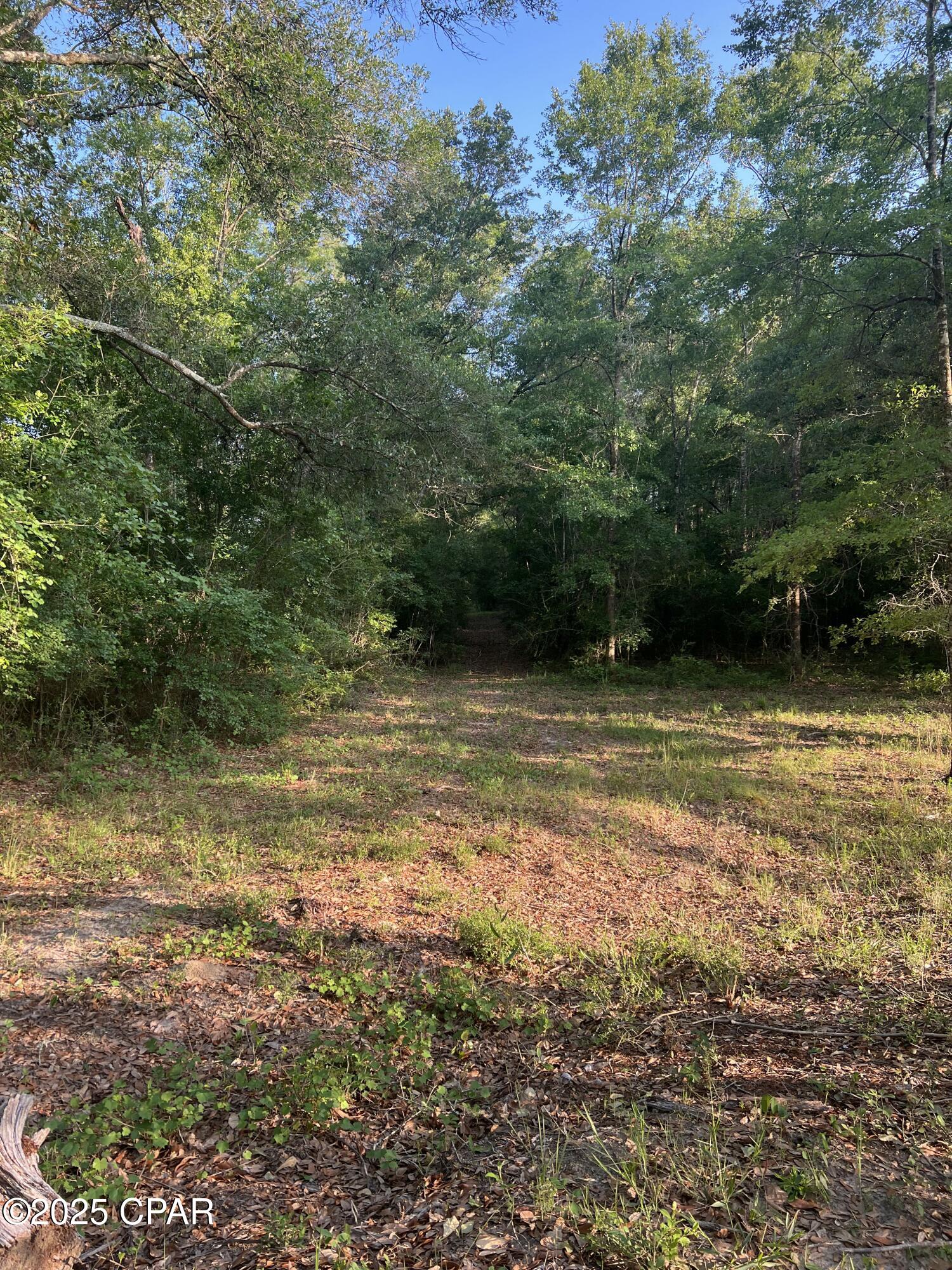 1750 Turkey Oak Trail, Bonifay, Florida image 24