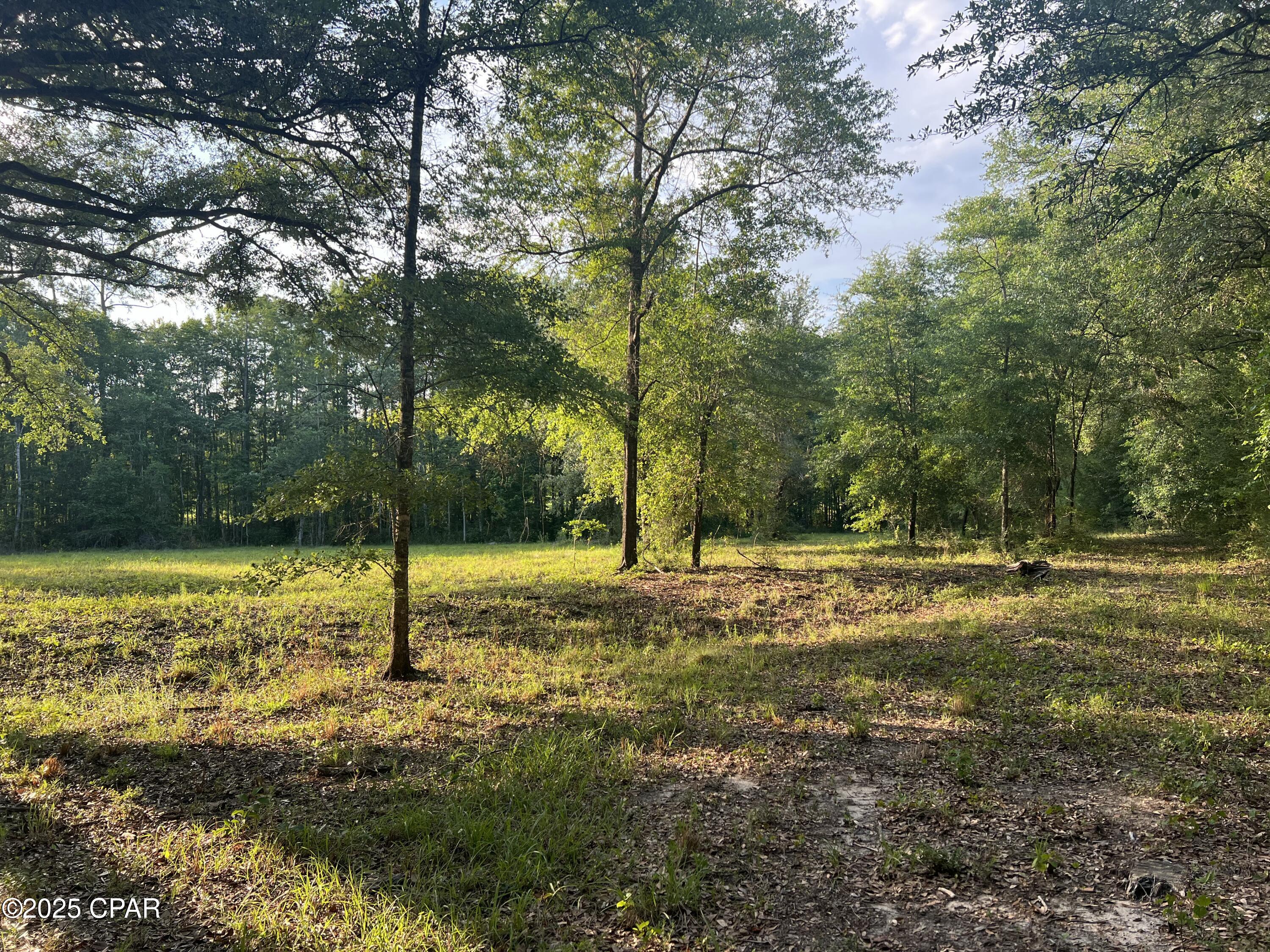 1750 Turkey Oak Trail, Bonifay, Florida image 26