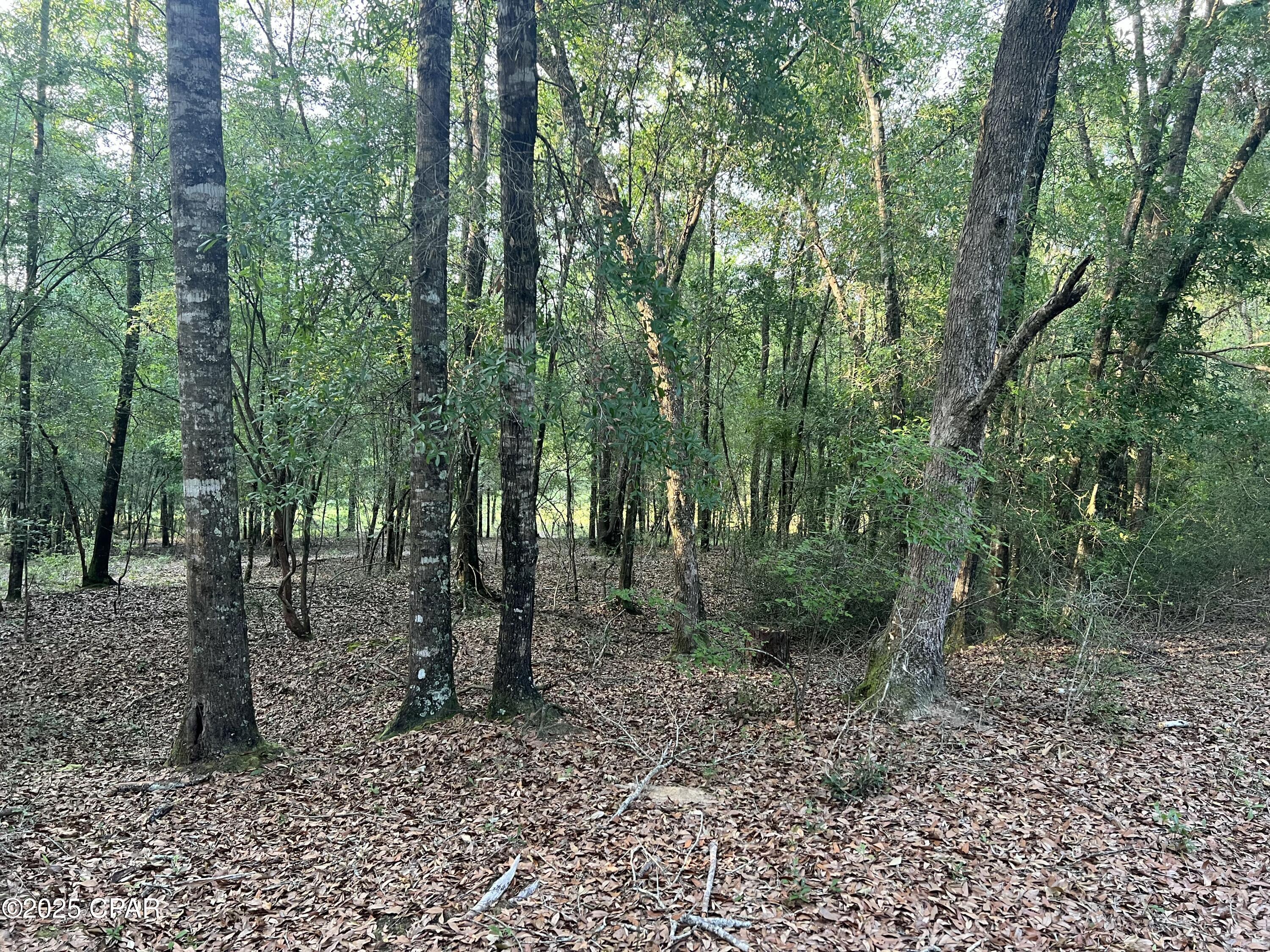 1750 Turkey Oak Trail, Bonifay, Florida image 28