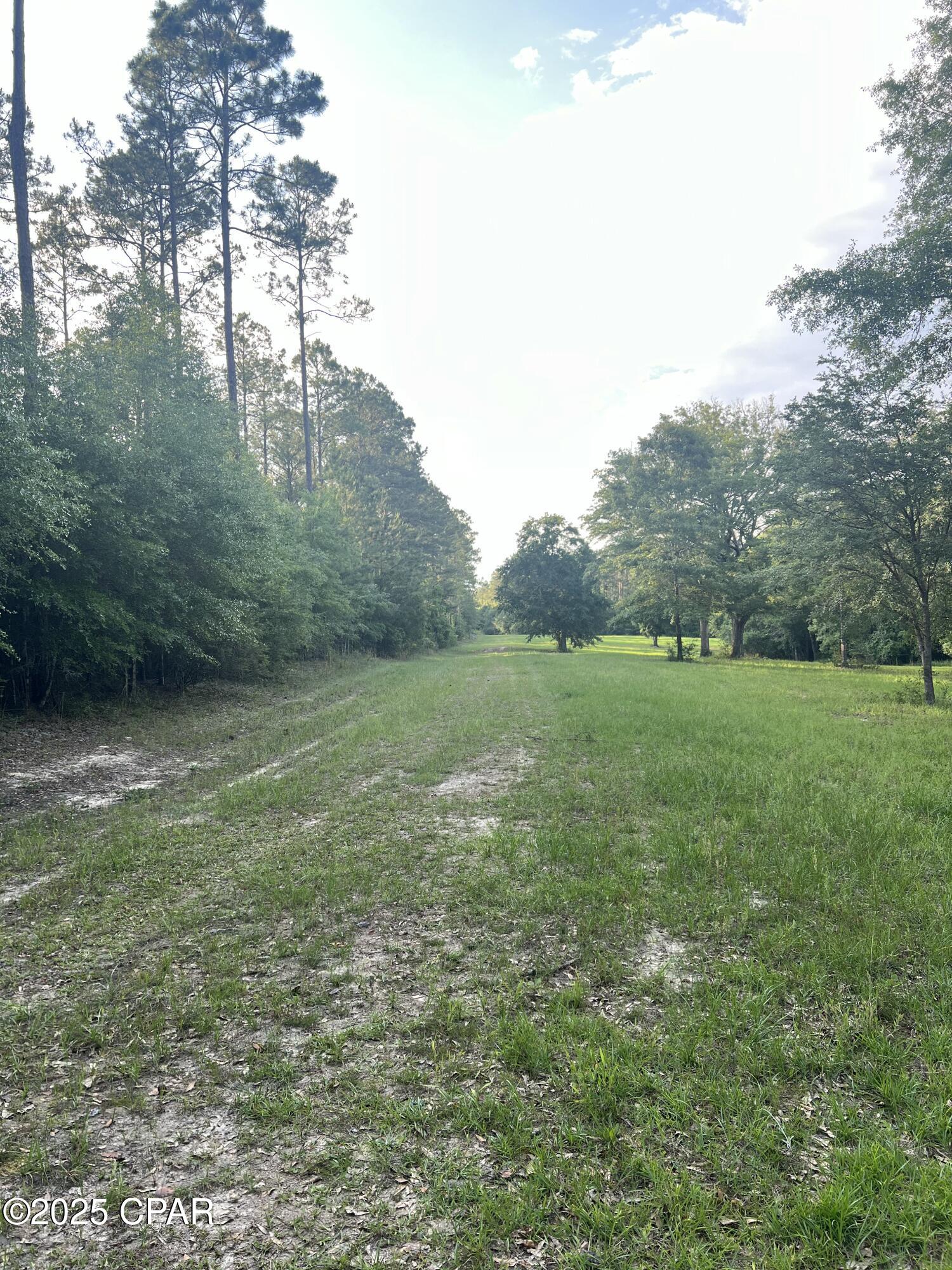 1750 Turkey Oak Trail, Bonifay, Florida image 7