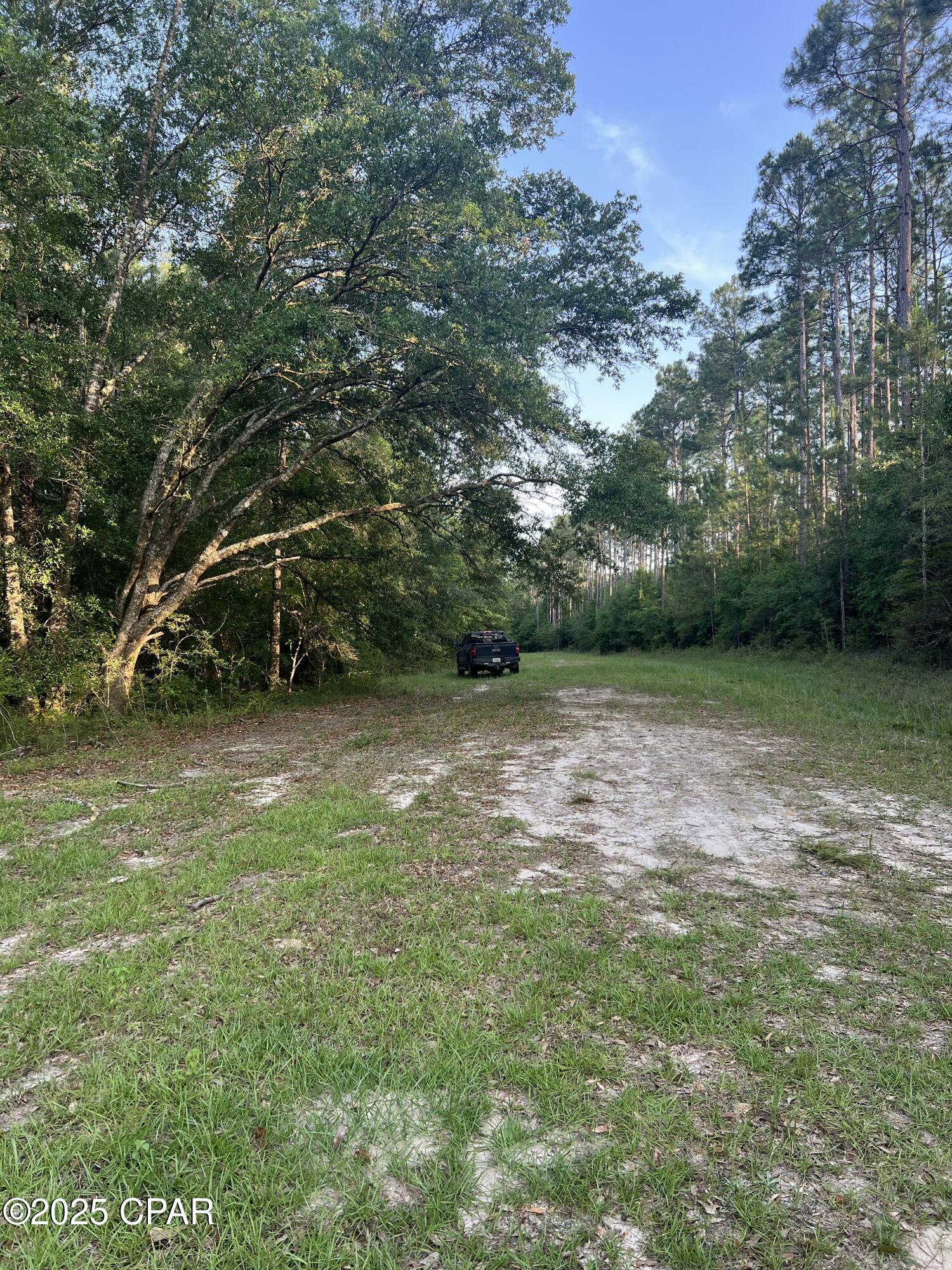 1750 Turkey Oak Trail, Bonifay, Florida image 8