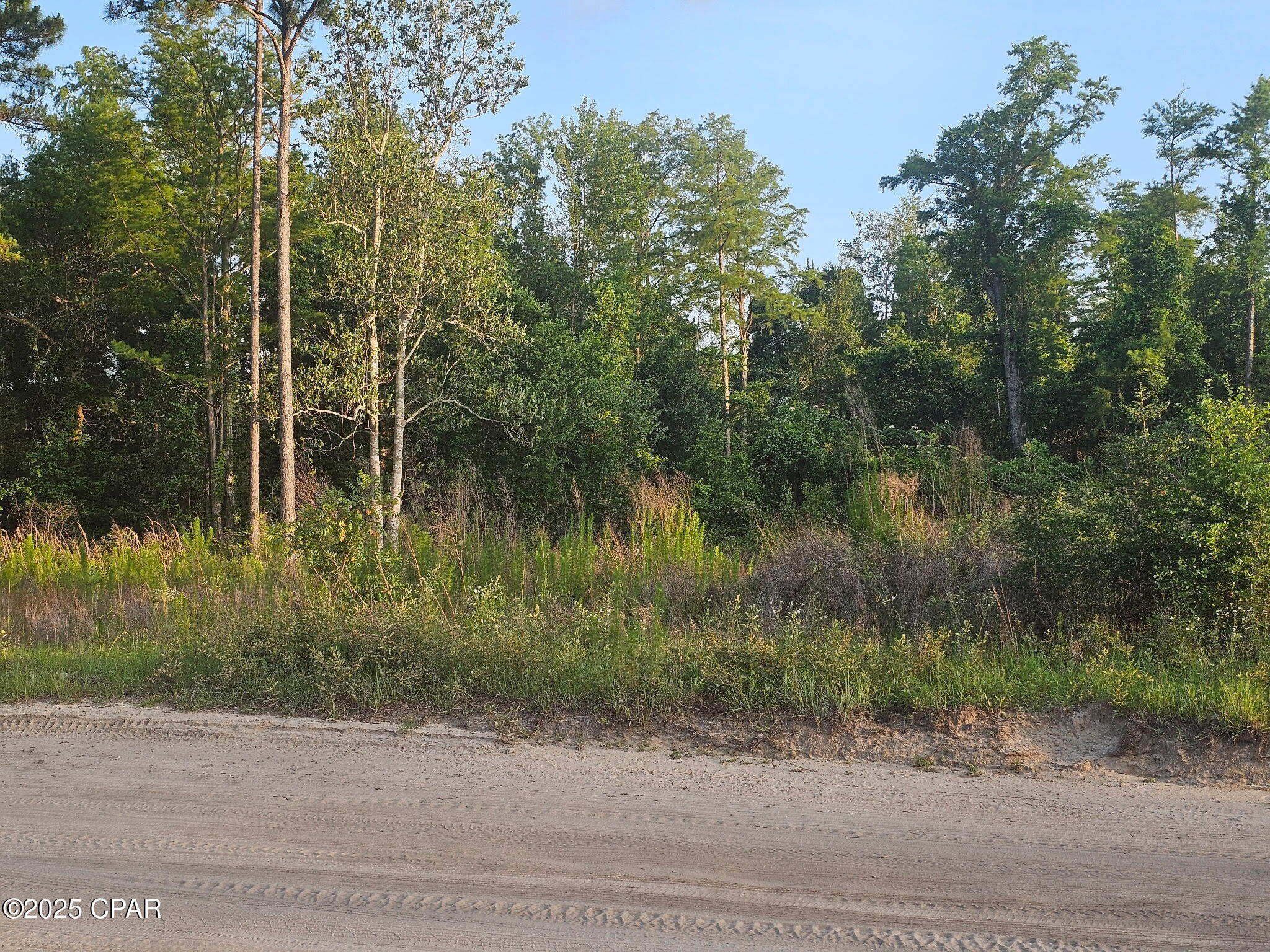Image 3 For 9214 Hwy 2301 Road