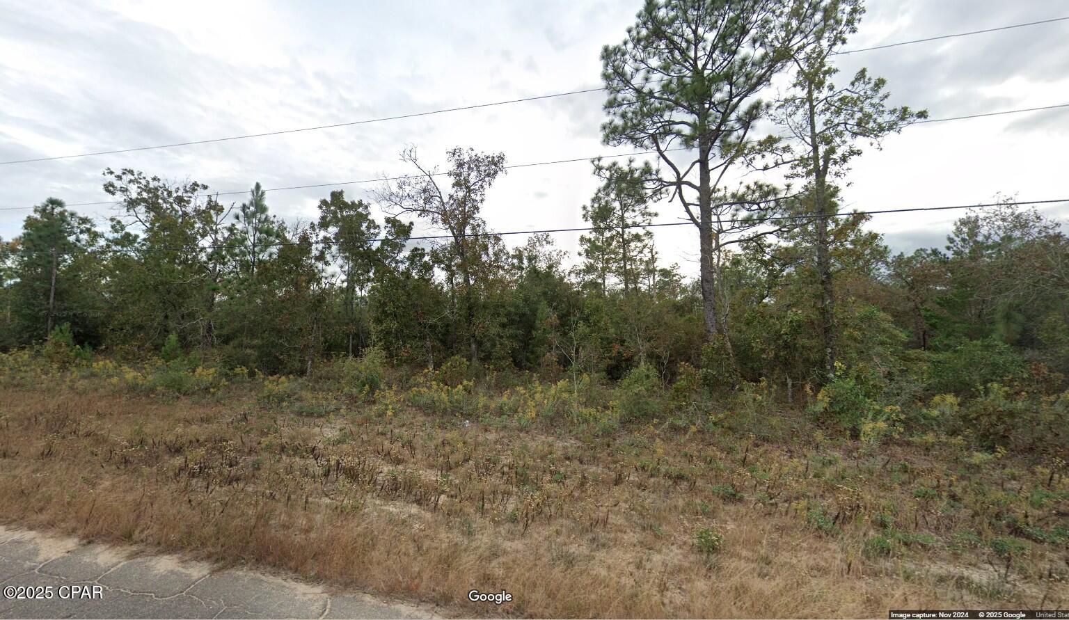 Lot 5 Newcomb Avenue #UNIT 5 BLK 326, Chipley, Florida image 1