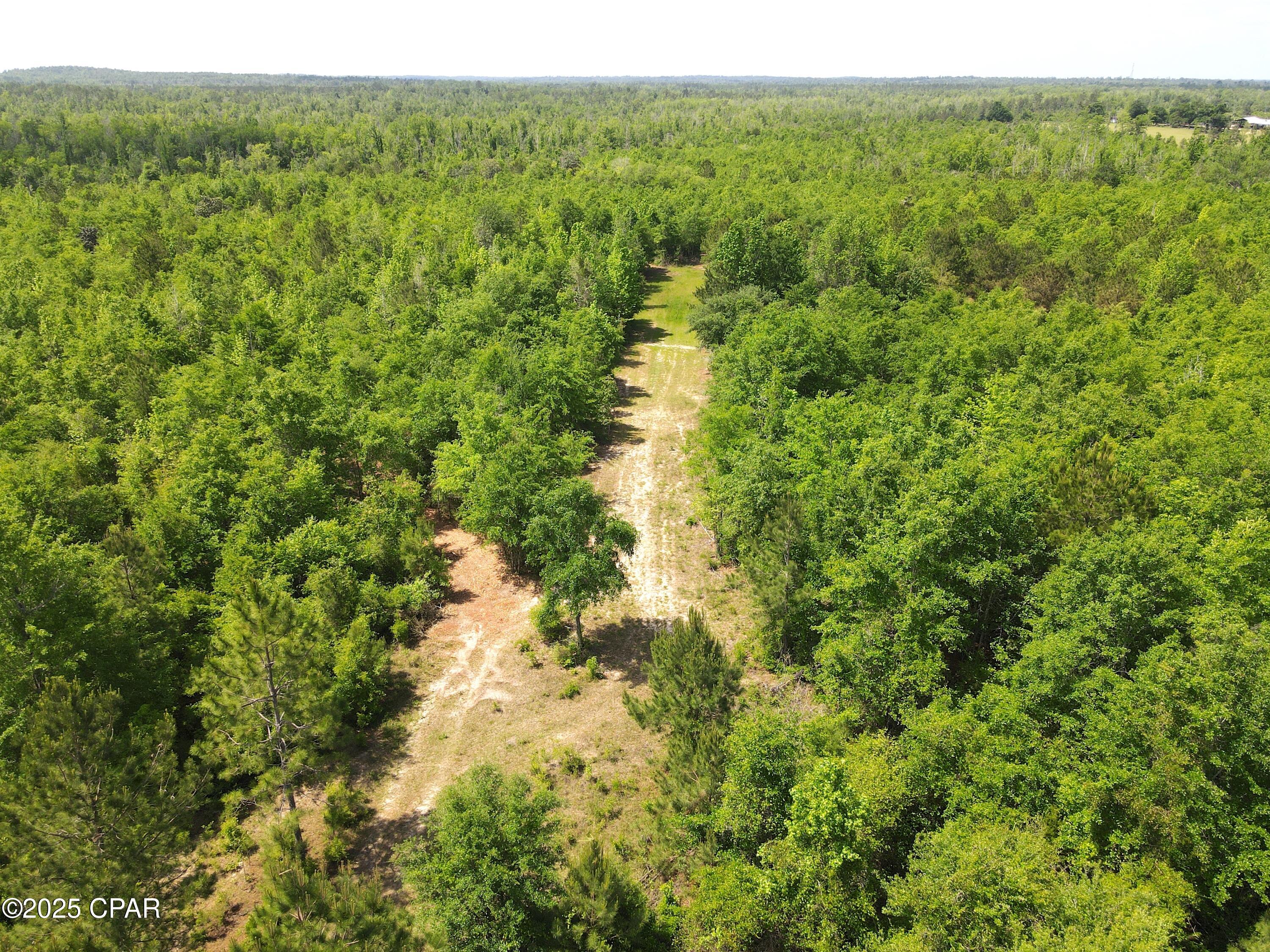 Mutual Road, Alford, Florida image 1