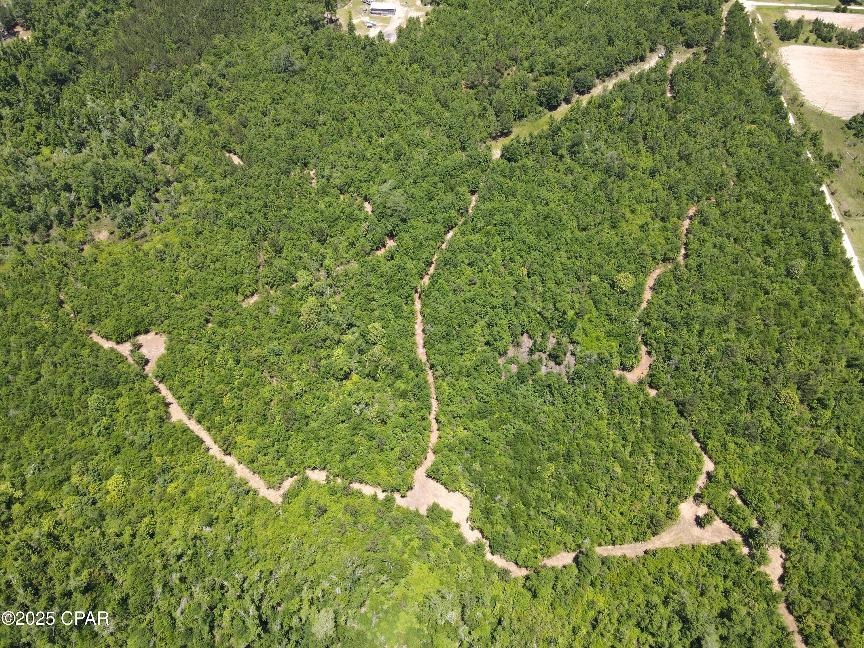 Mutual Road, Alford, Florida image 12