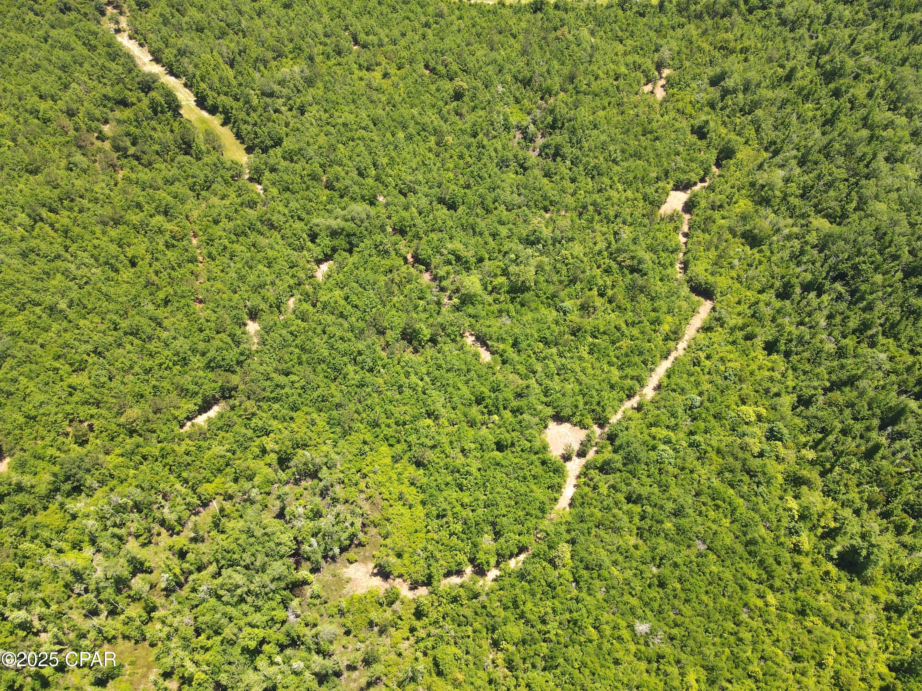 Mutual Road, Alford, Florida image 14
