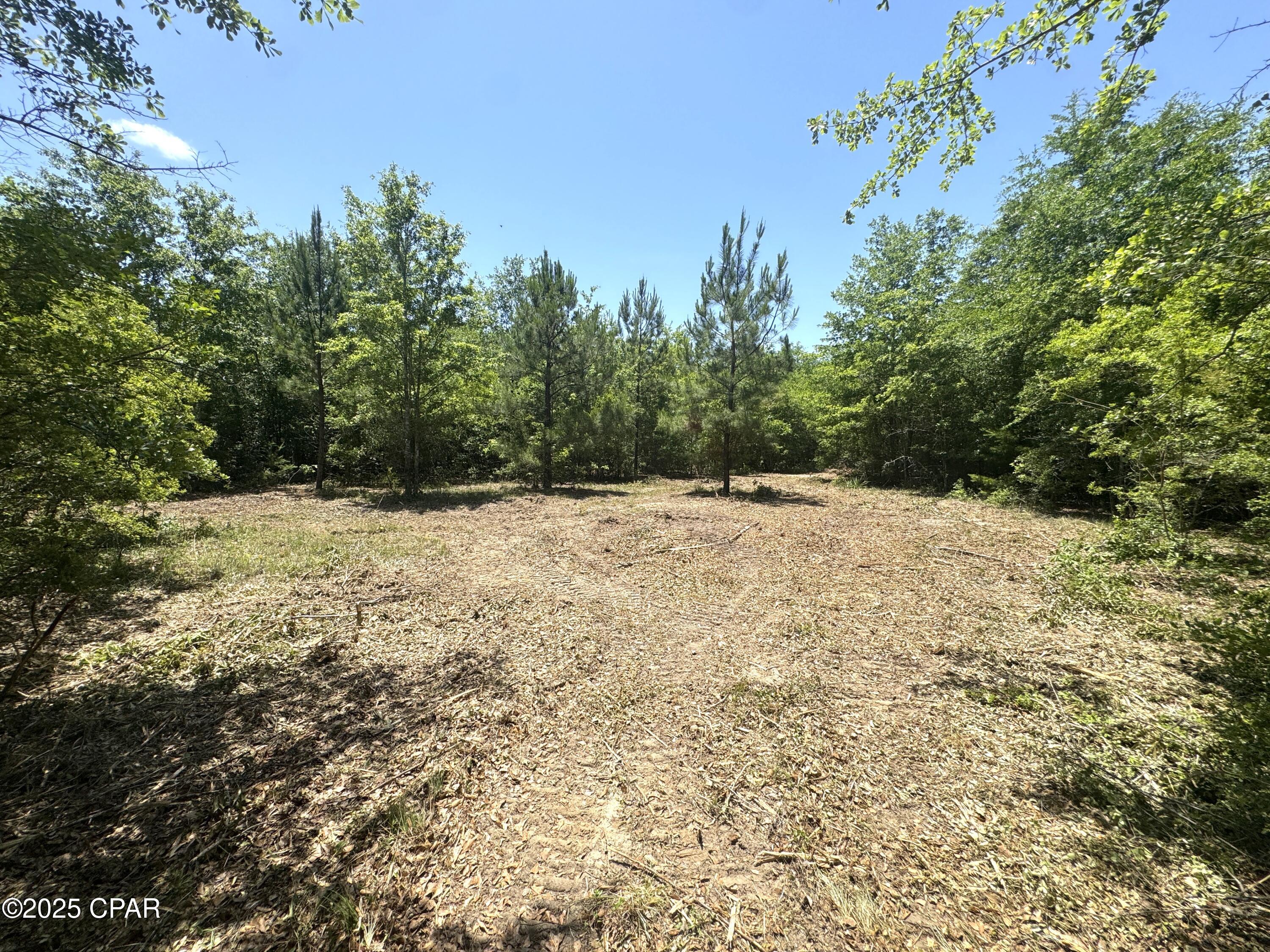 Mutual Road, Alford, Florida image 17