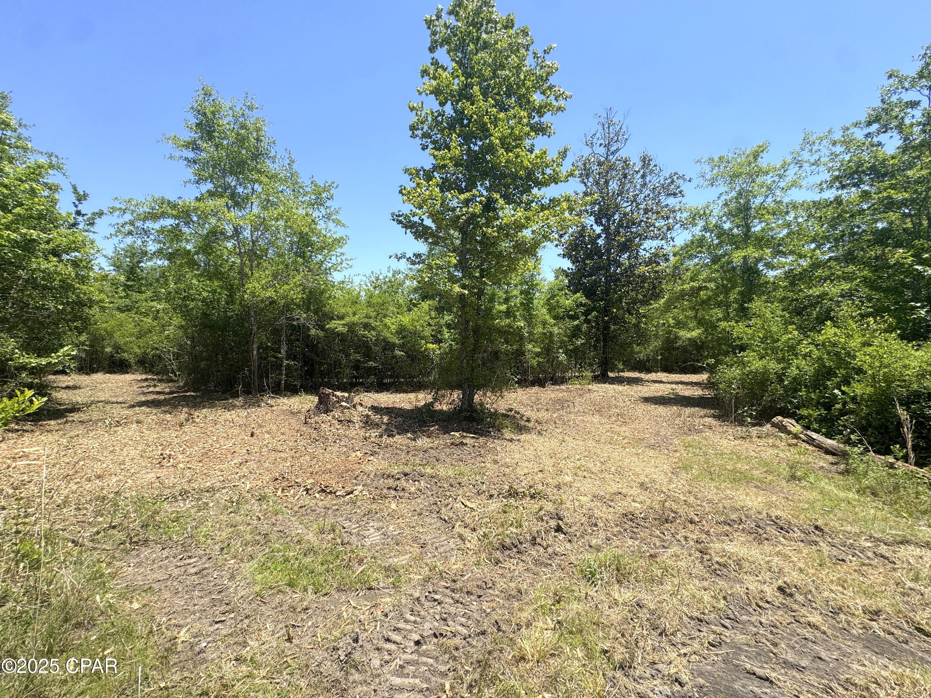 Mutual Road, Alford, Florida image 18