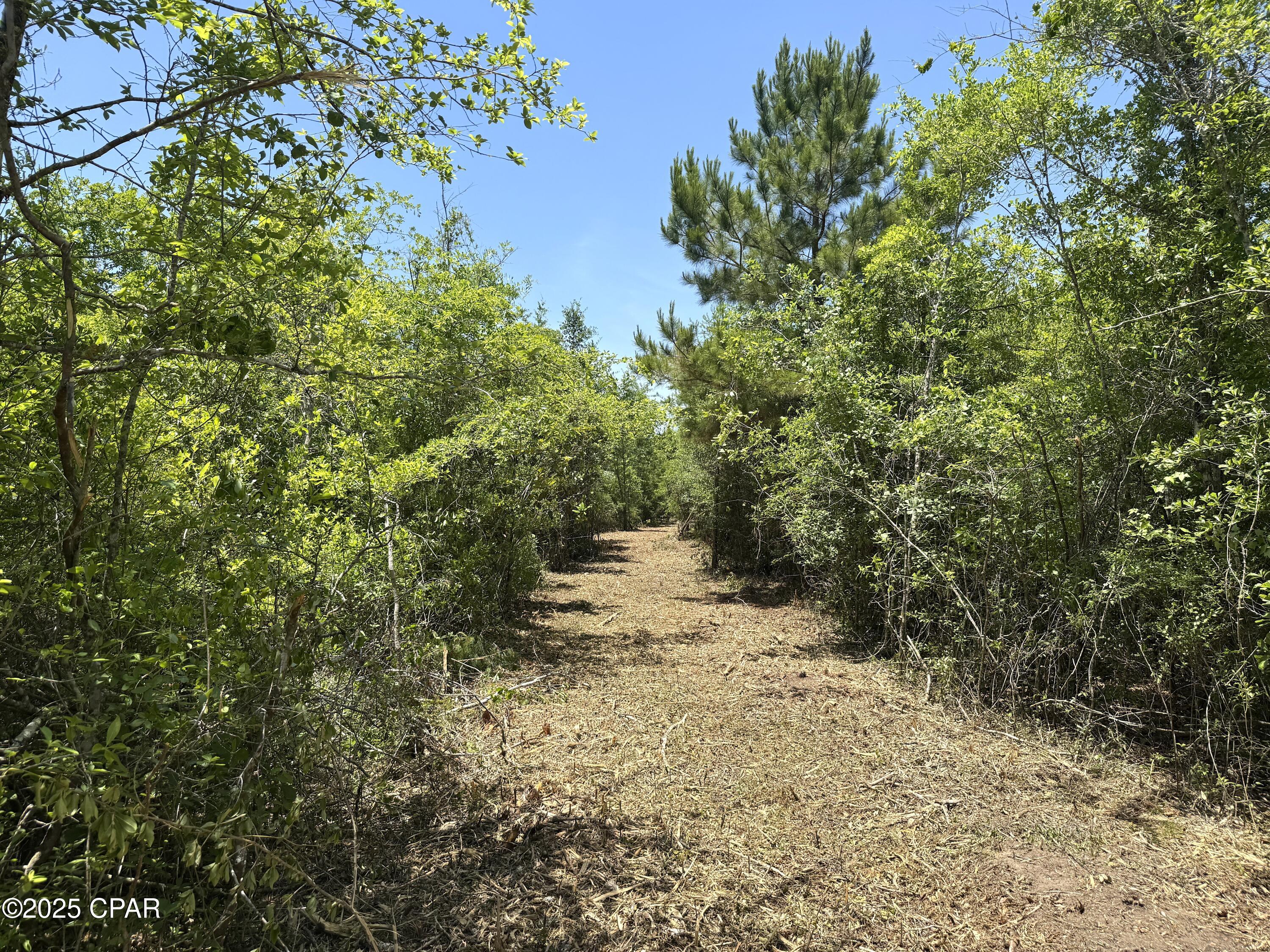 Mutual Road, Alford, Florida image 19