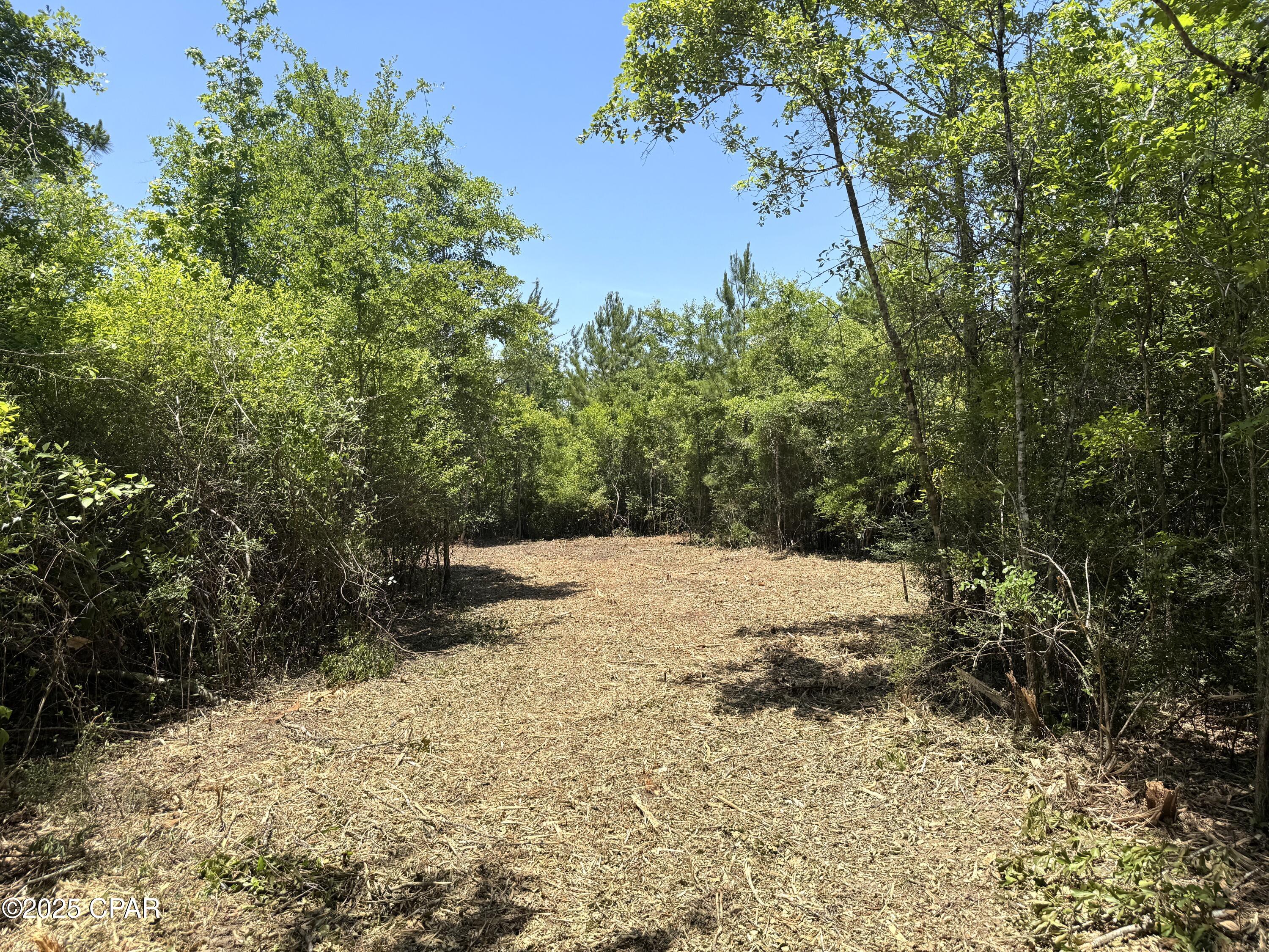Mutual Road, Alford, Florida image 20