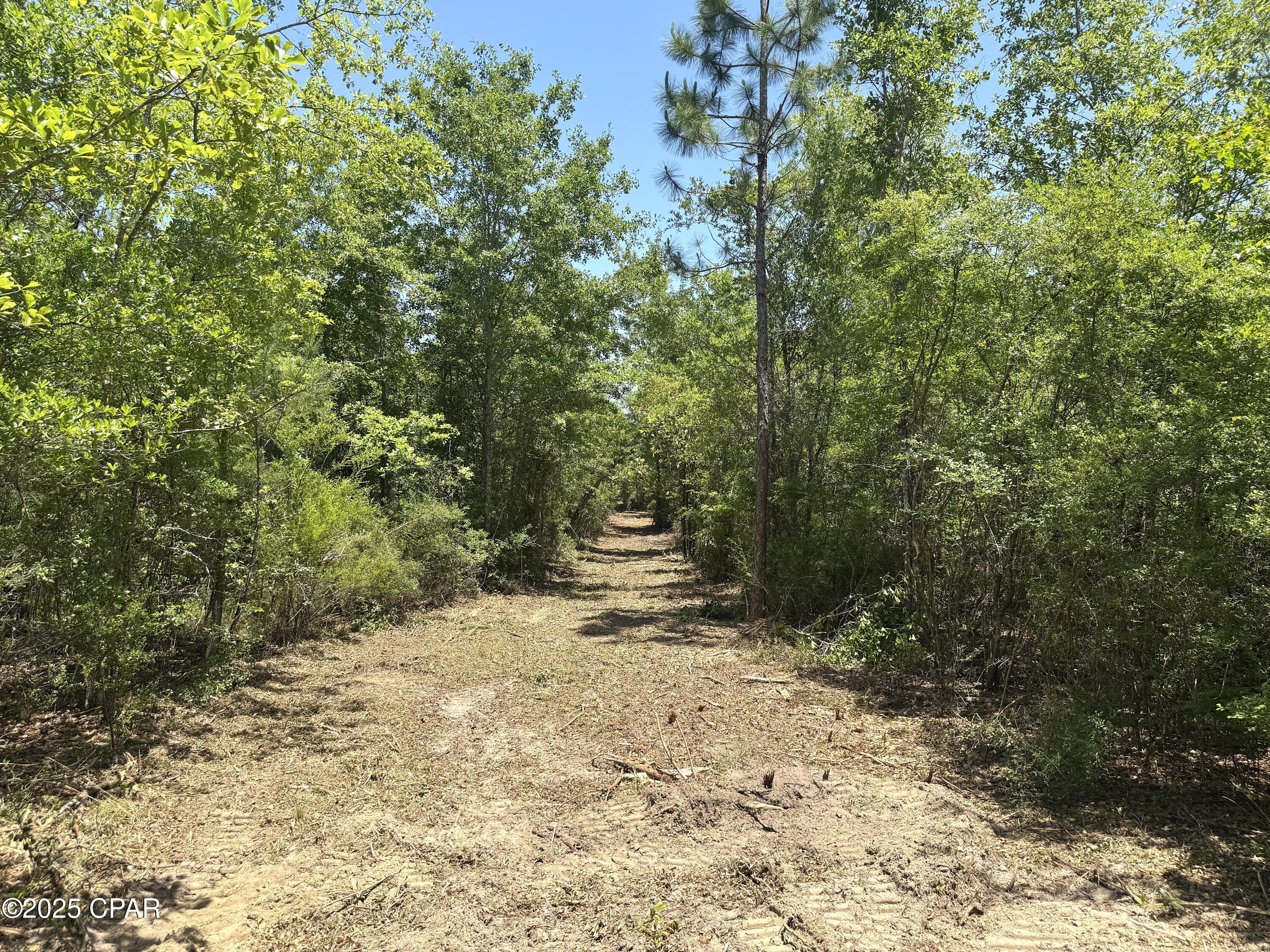 Mutual Road, Alford, Florida image 21