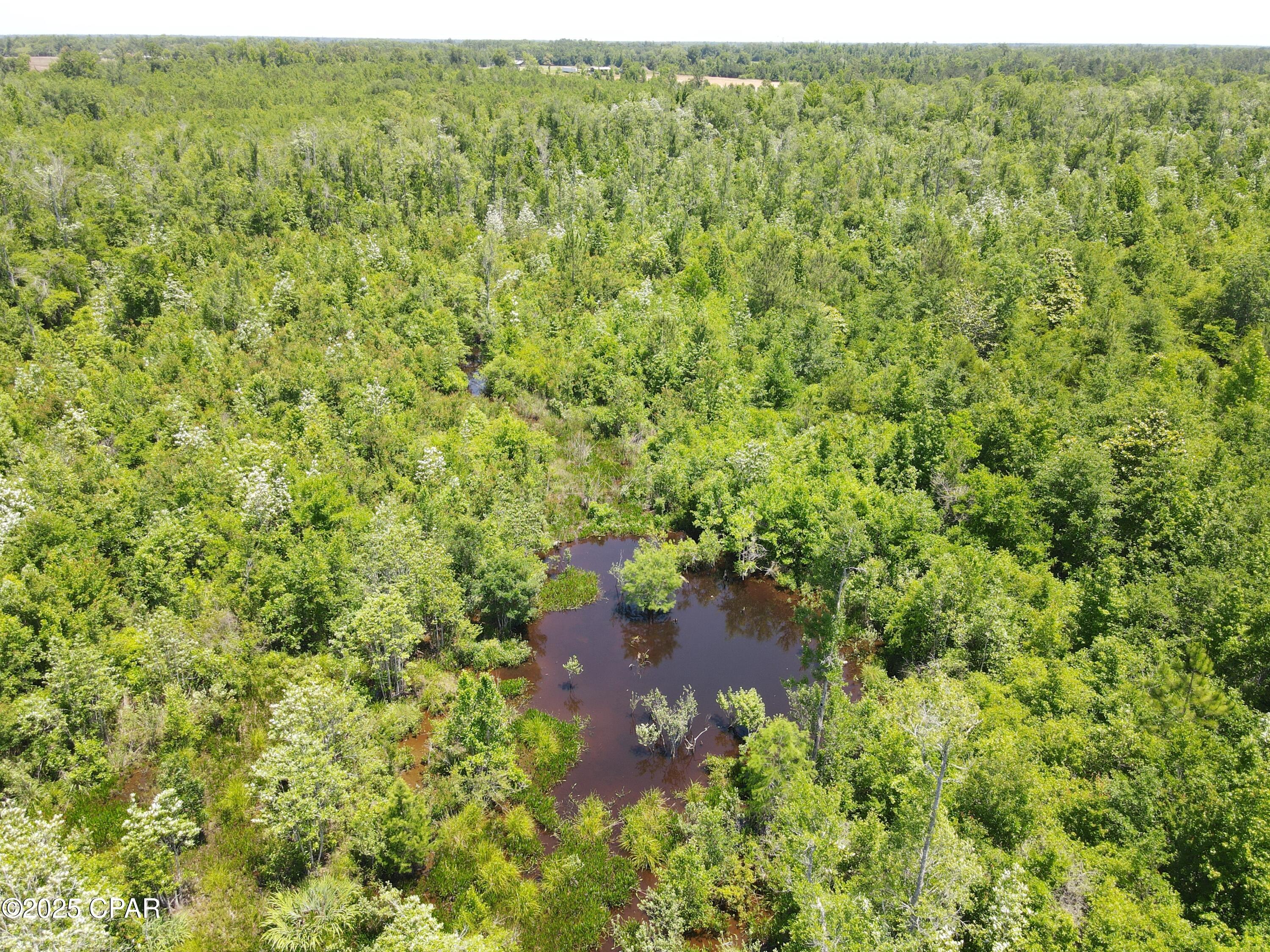 Mutual Road, Alford, Florida image 29