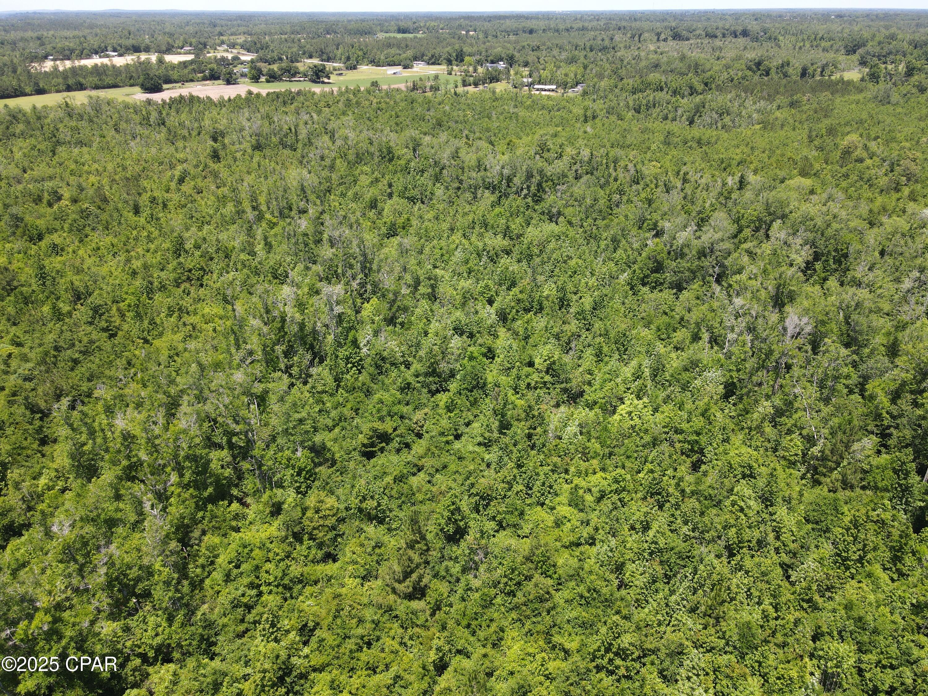 Mutual Road, Alford, Florida image 31