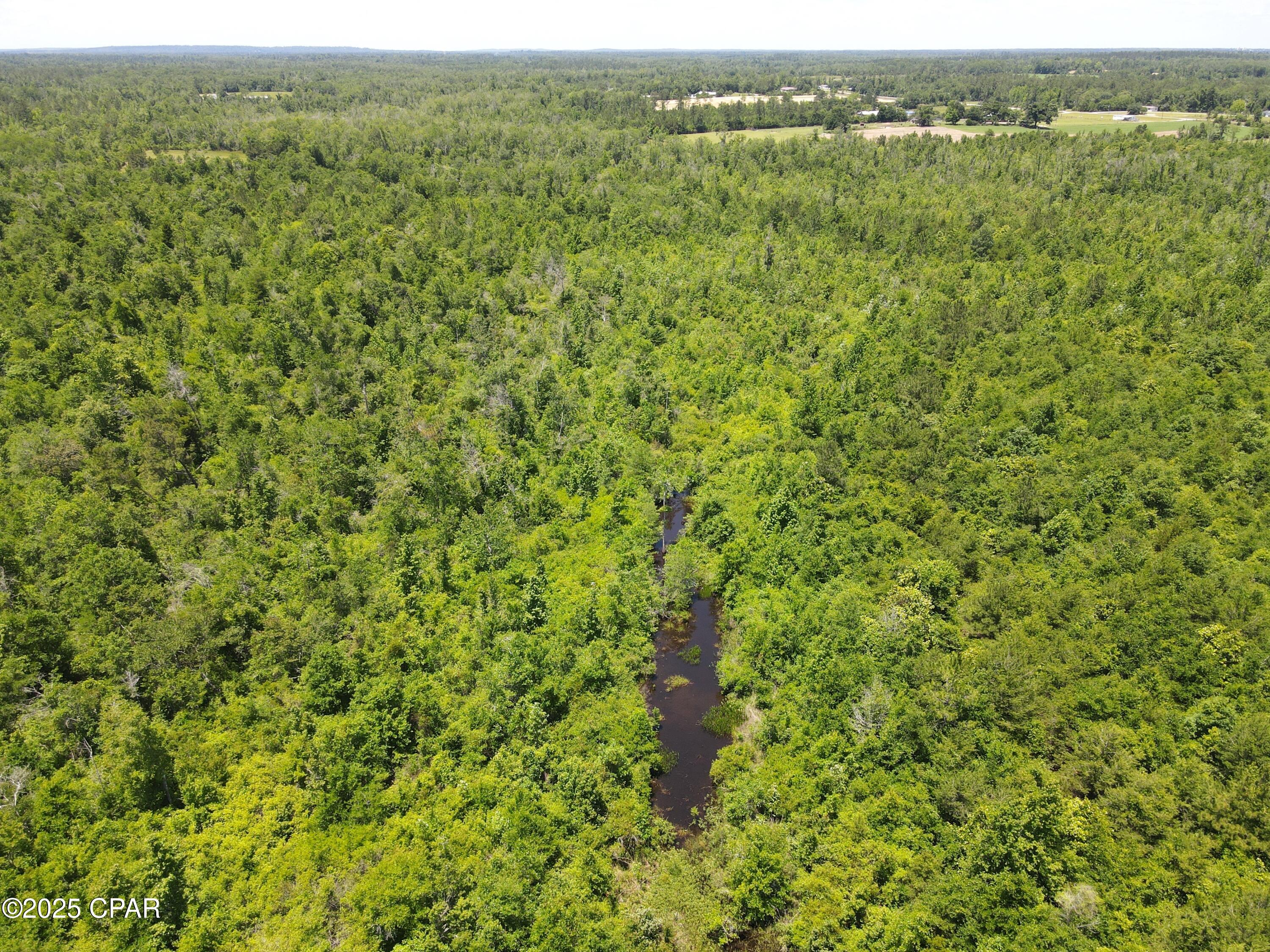 Mutual Road, Alford, Florida image 32