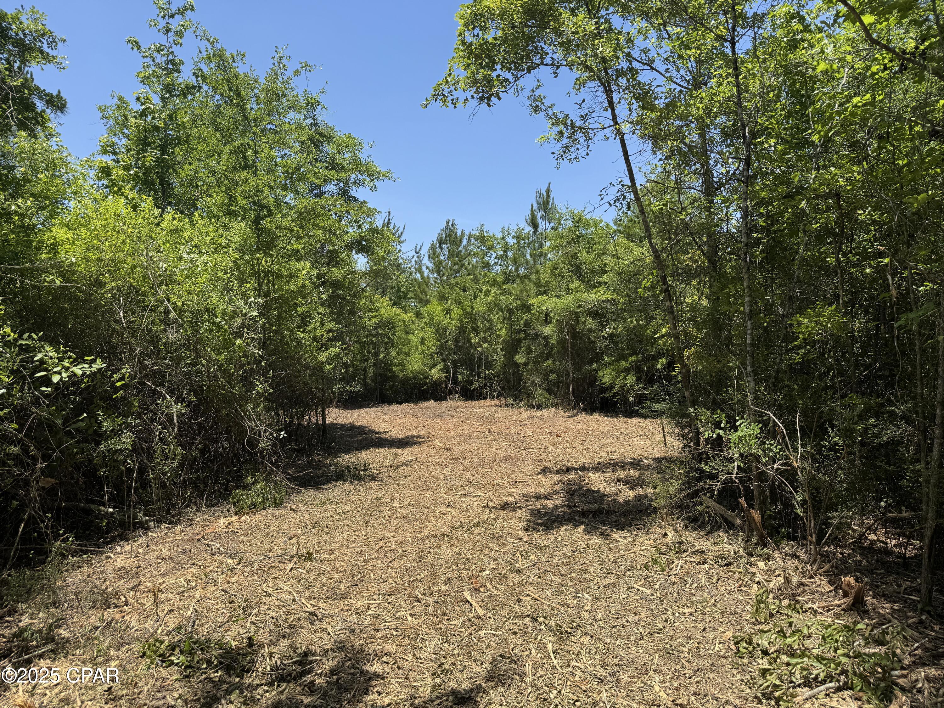 Mutual Road, Alford, Florida image 35