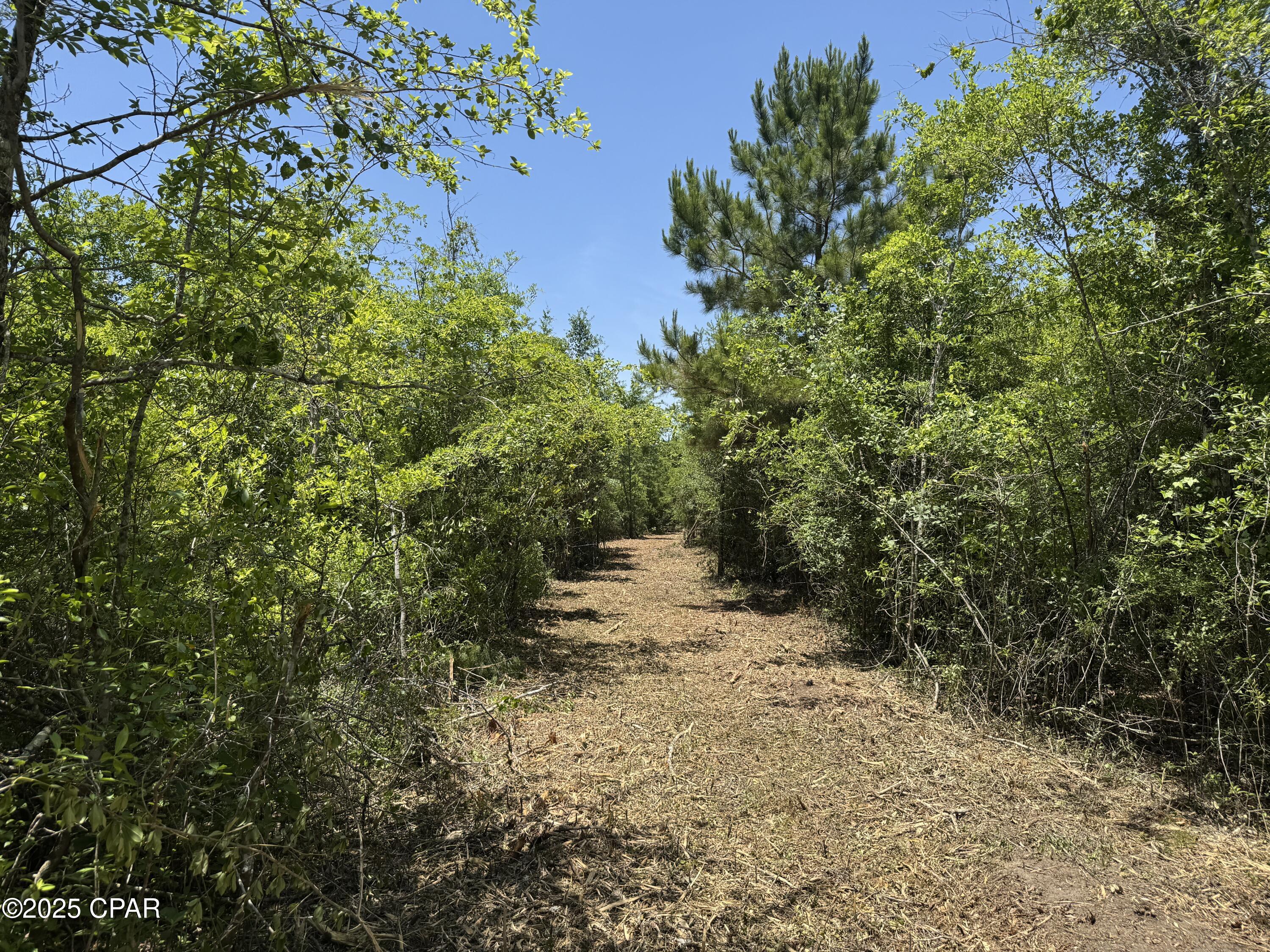 Mutual Road, Alford, Florida image 36