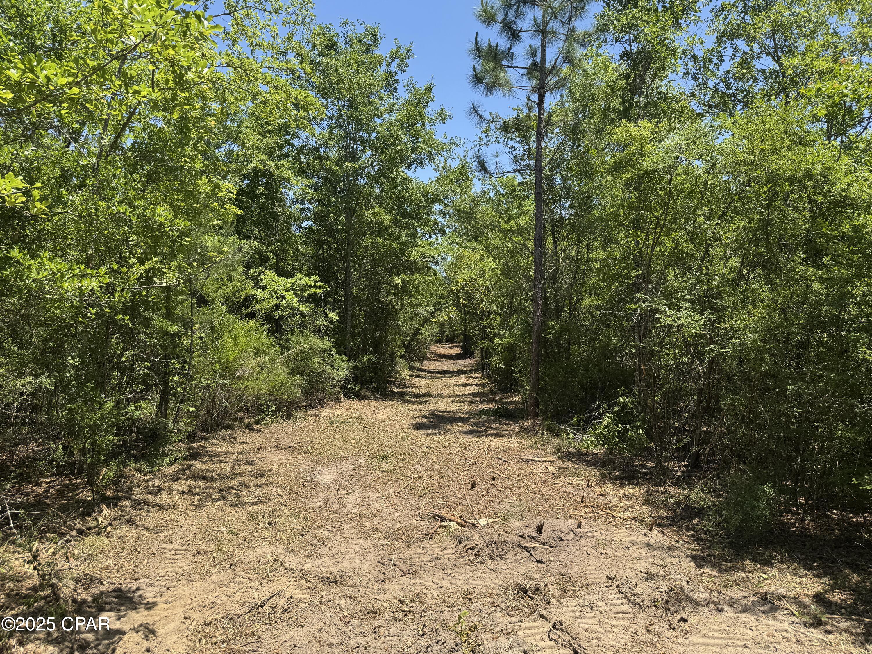 Mutual Road, Alford, Florida image 37