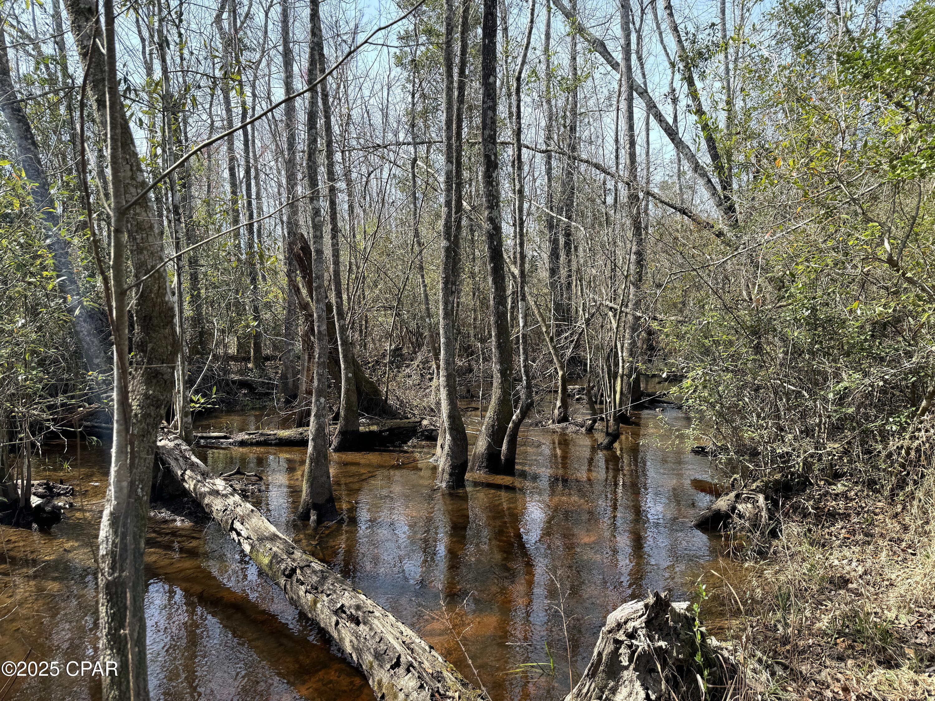 Mutual Road, Alford, Florida image 5