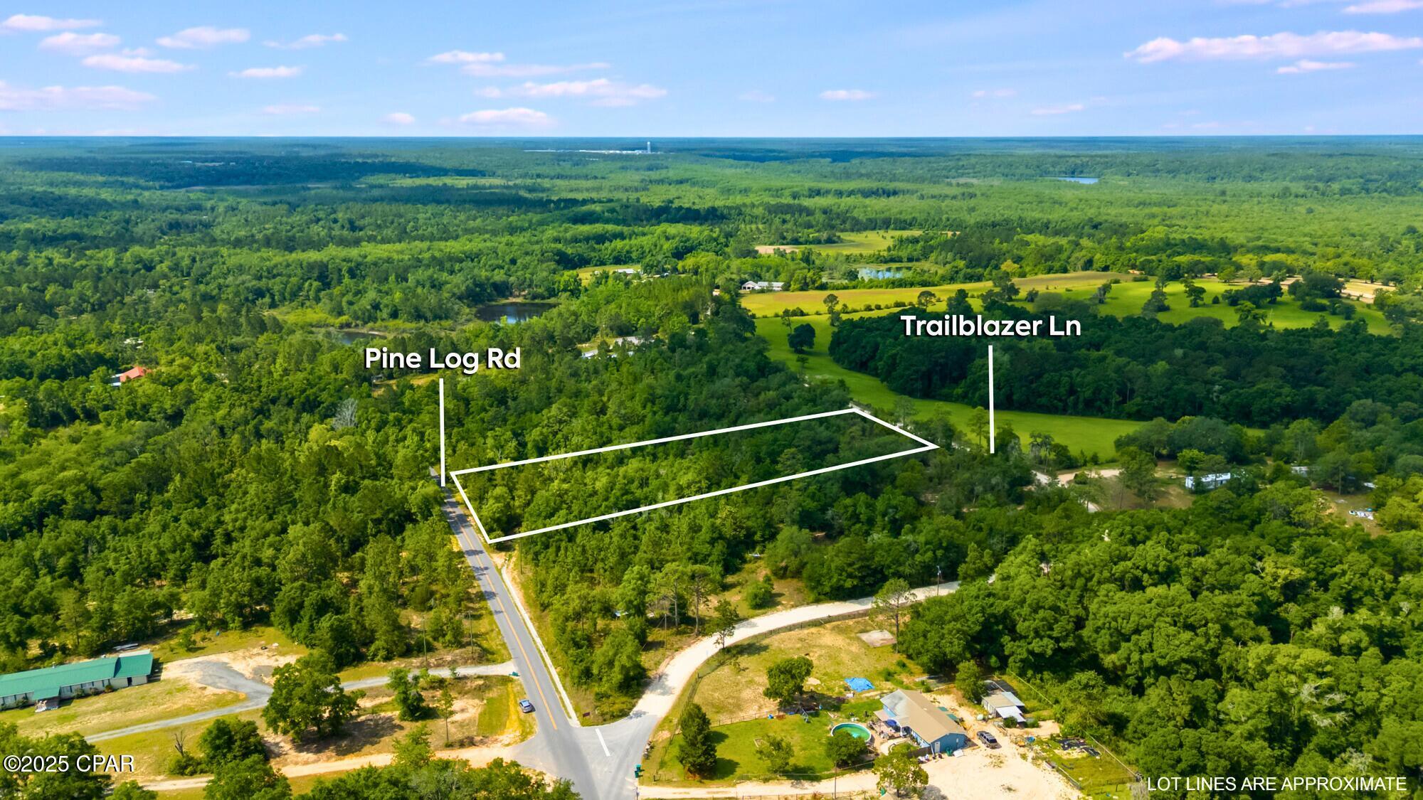 000 Pine Log Road, Chipley, Florida image 1