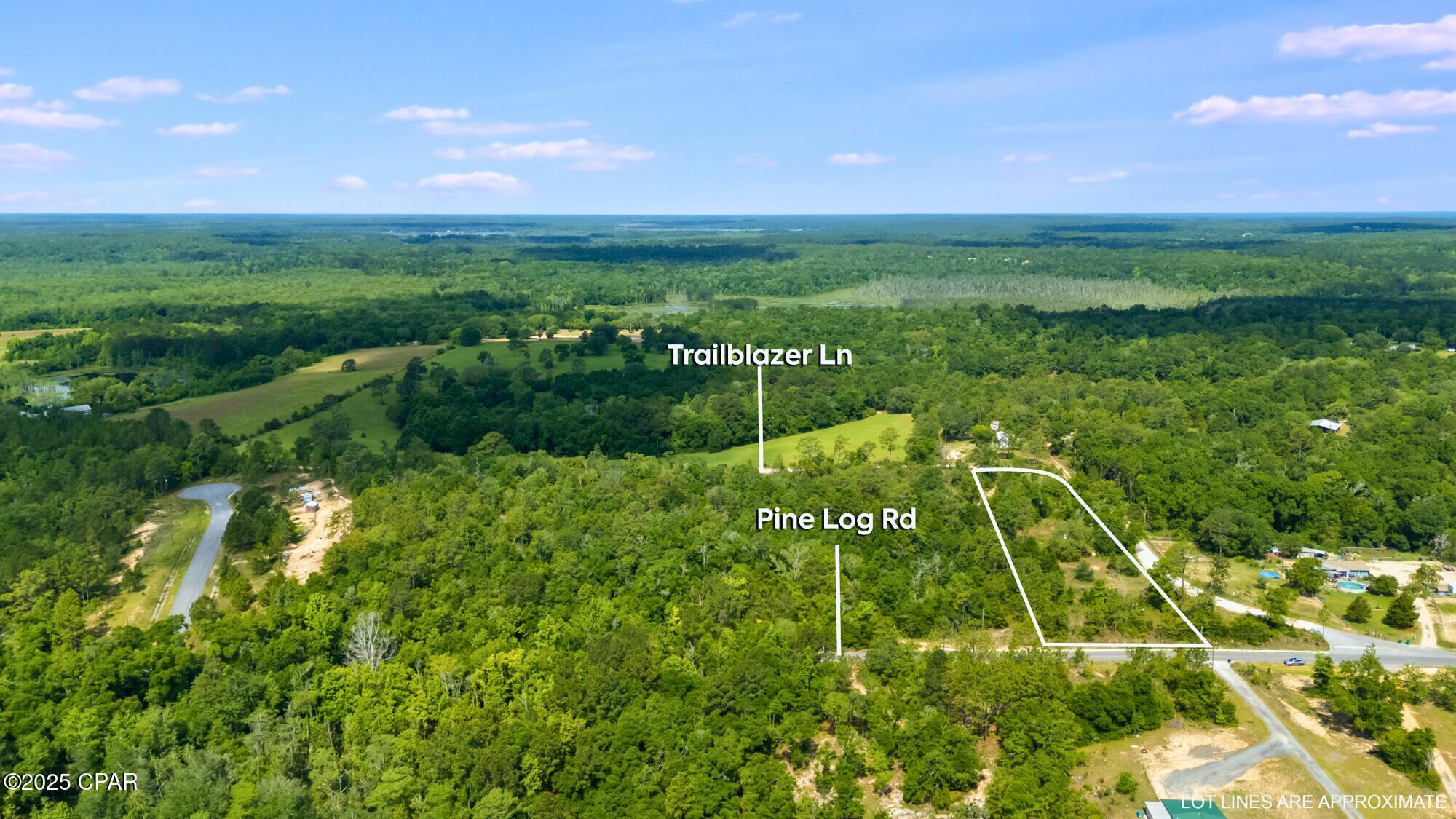2493 Trailblazer Lane, Chipley, Florida image 3