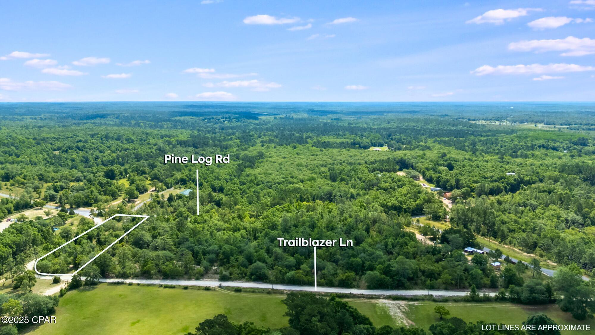 2493 Trailblazer Lane, Chipley, Florida image 6