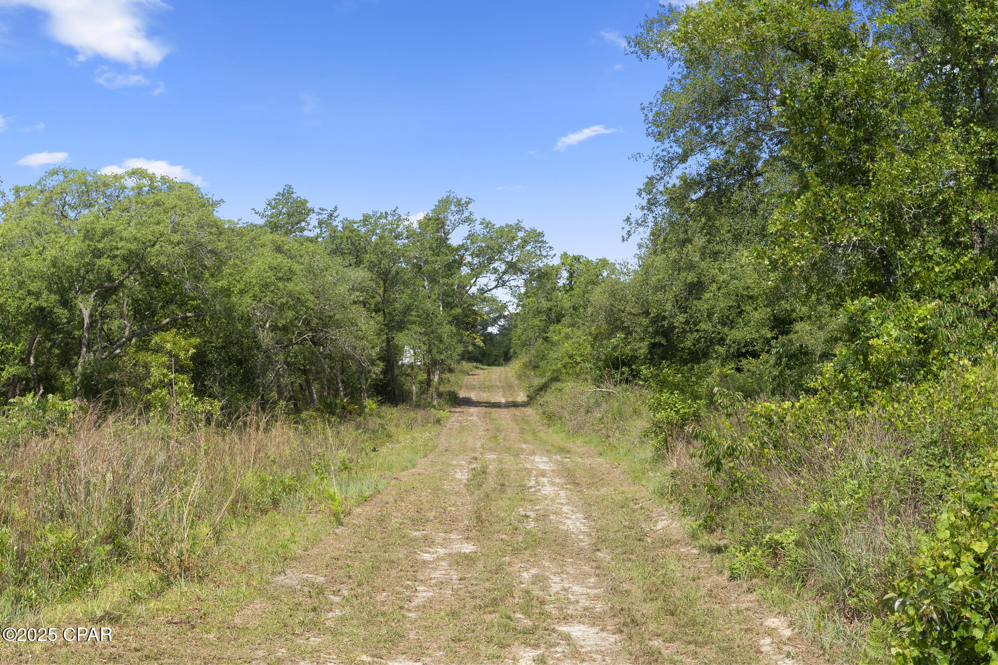21835 Lake Mckenzie Boulevard, Altha, Florida image 25