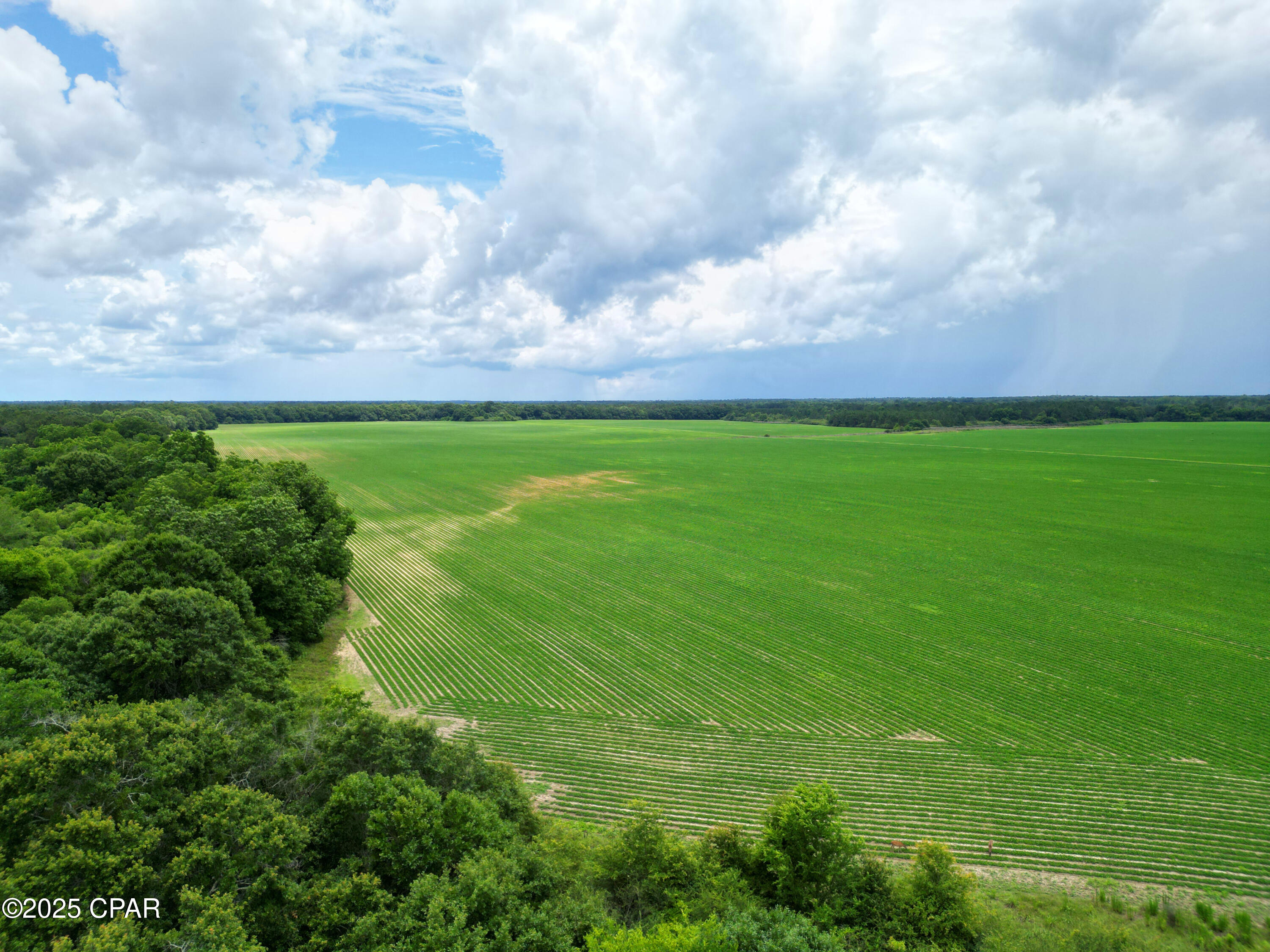 Listing photo id 4 for 00 Blue Star Highway