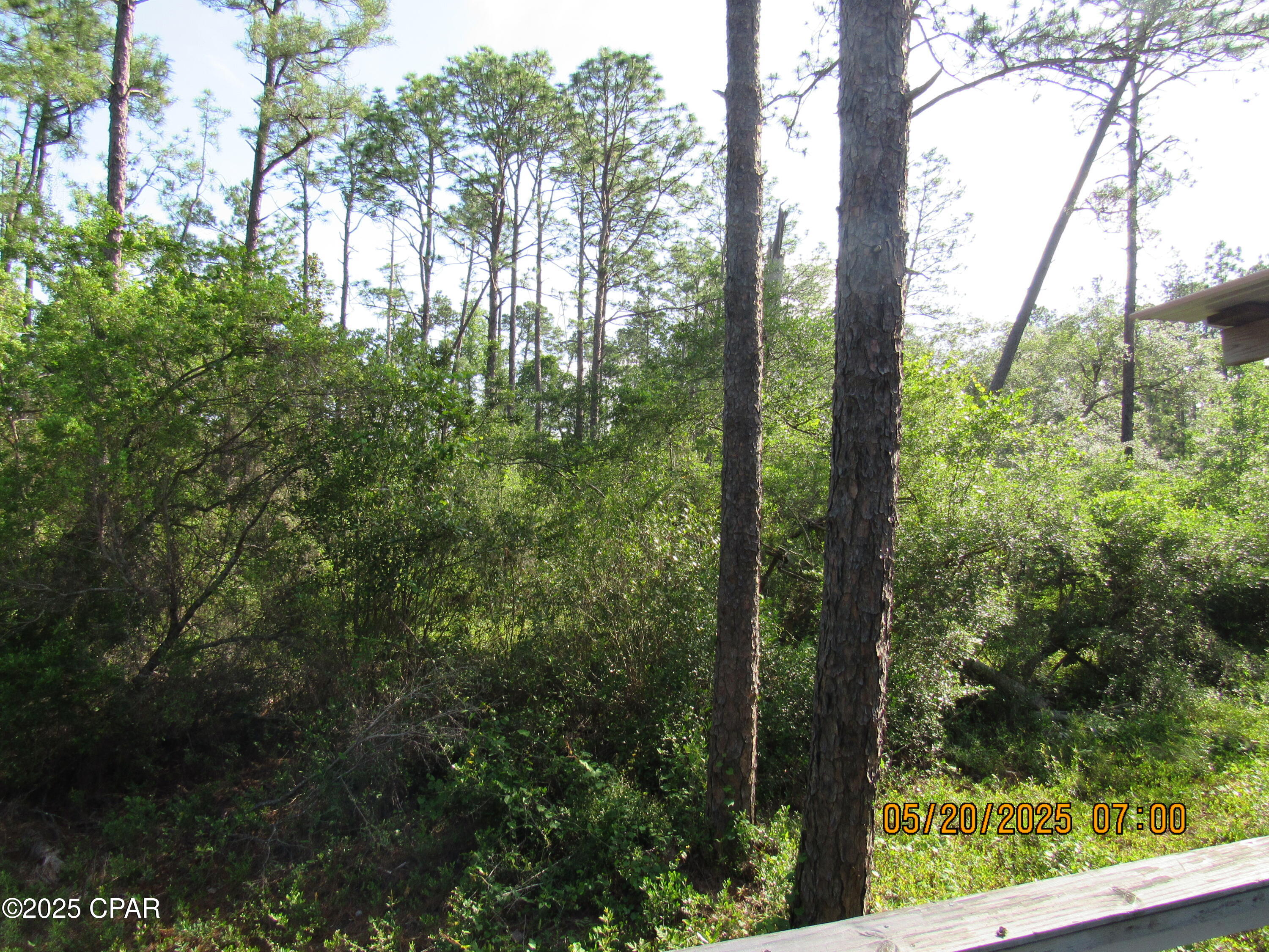 TBD Topaz Circle, Chipley, Florida image 14