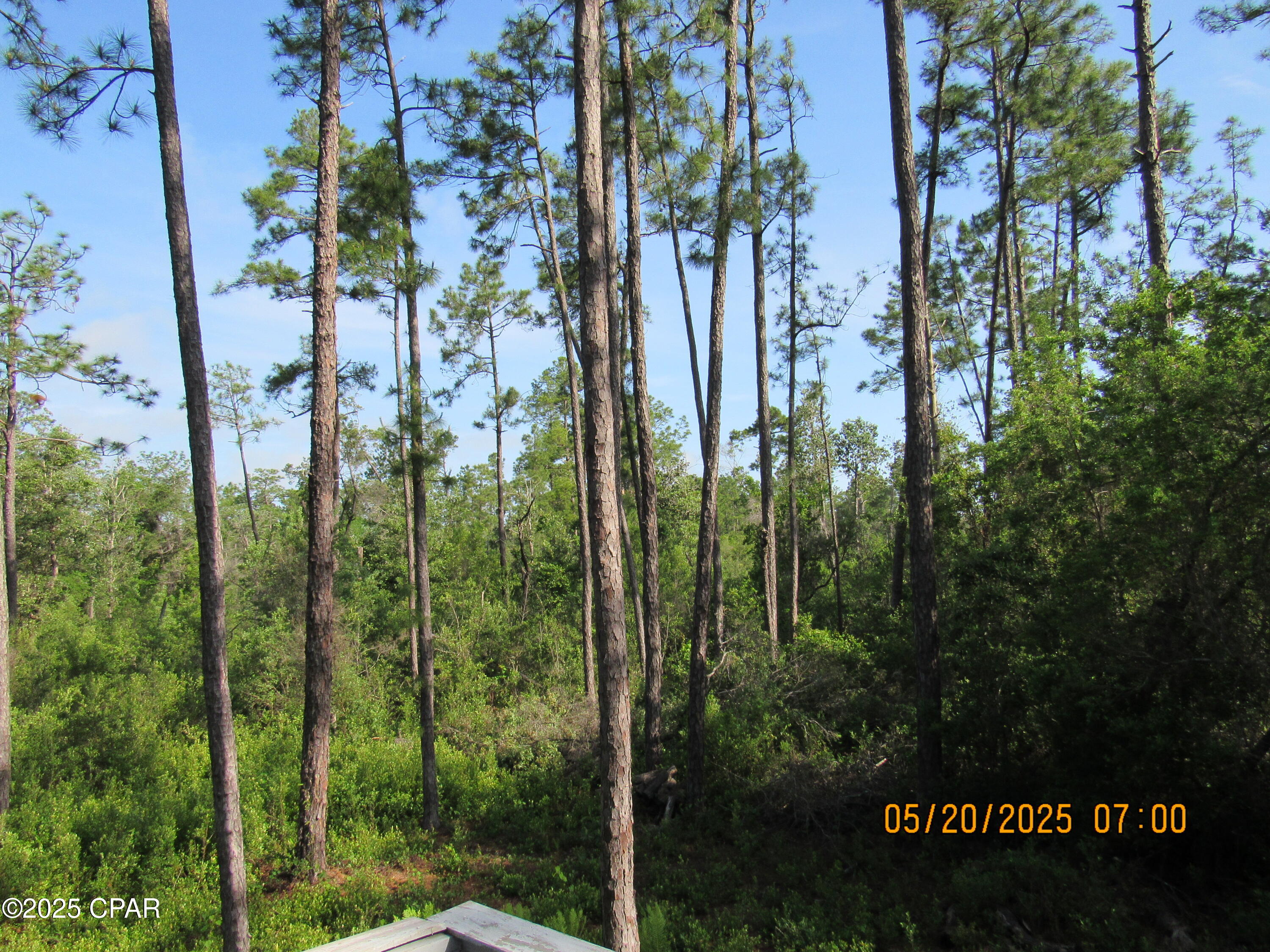 TBD Topaz Circle, Chipley, Florida image 15