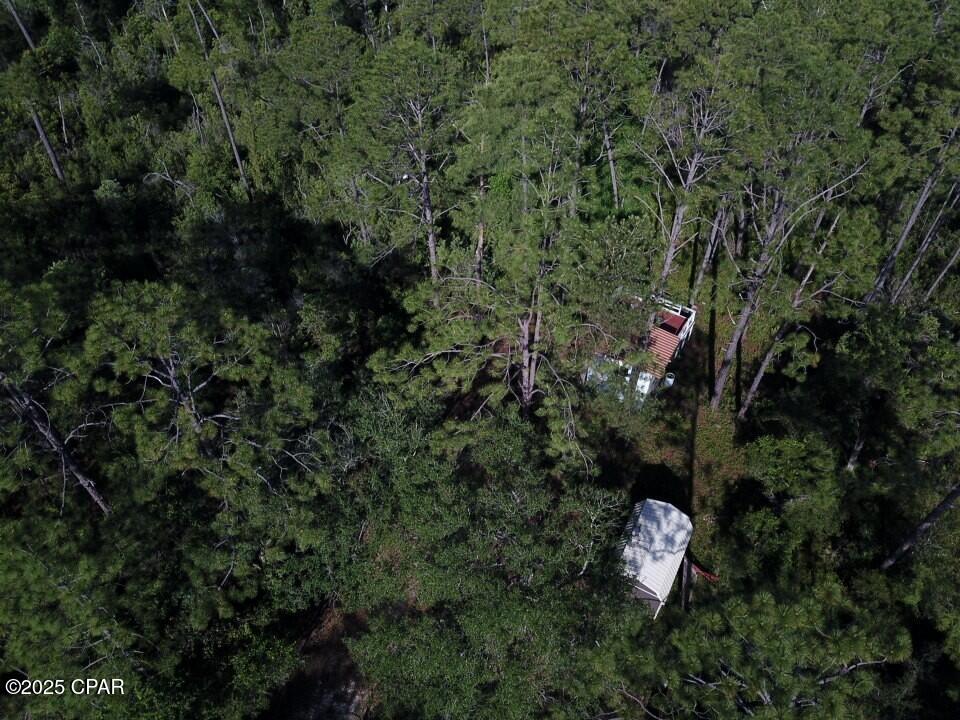 TBD Topaz Circle, Chipley, Florida image 23