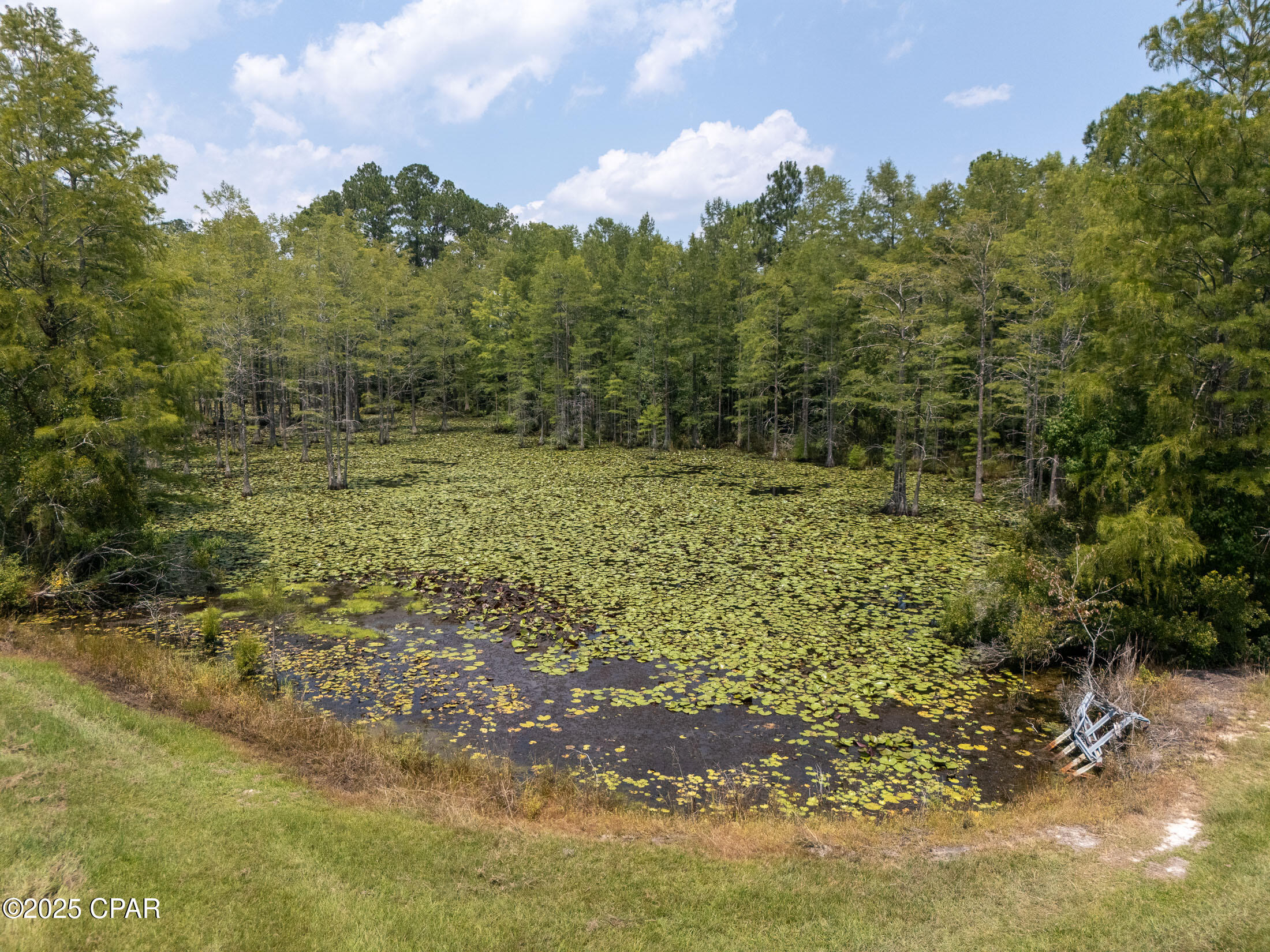 1716 Bradley Road, Westville, Florida image 13