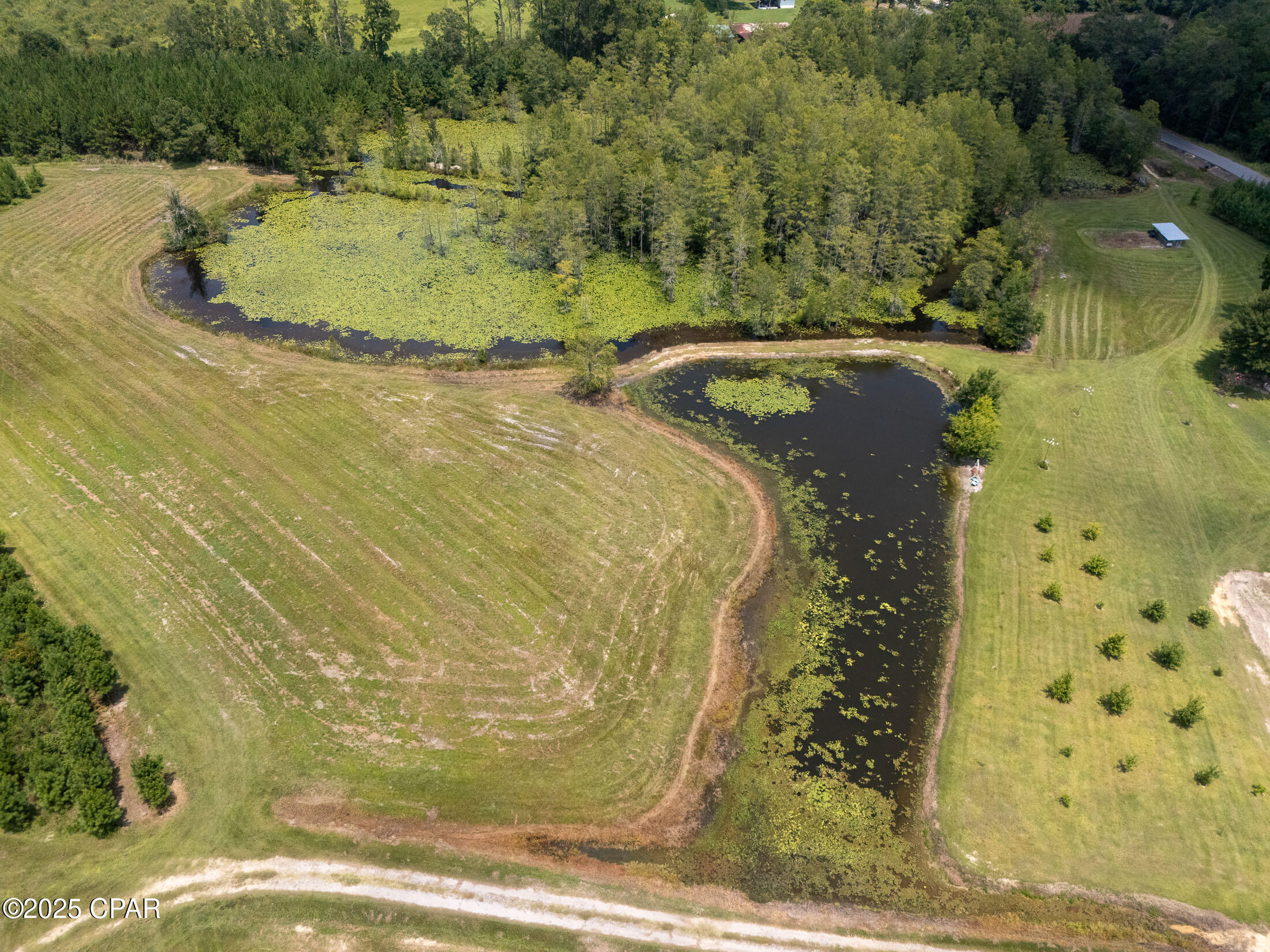 1716 Bradley Road, Westville, Florida image 16