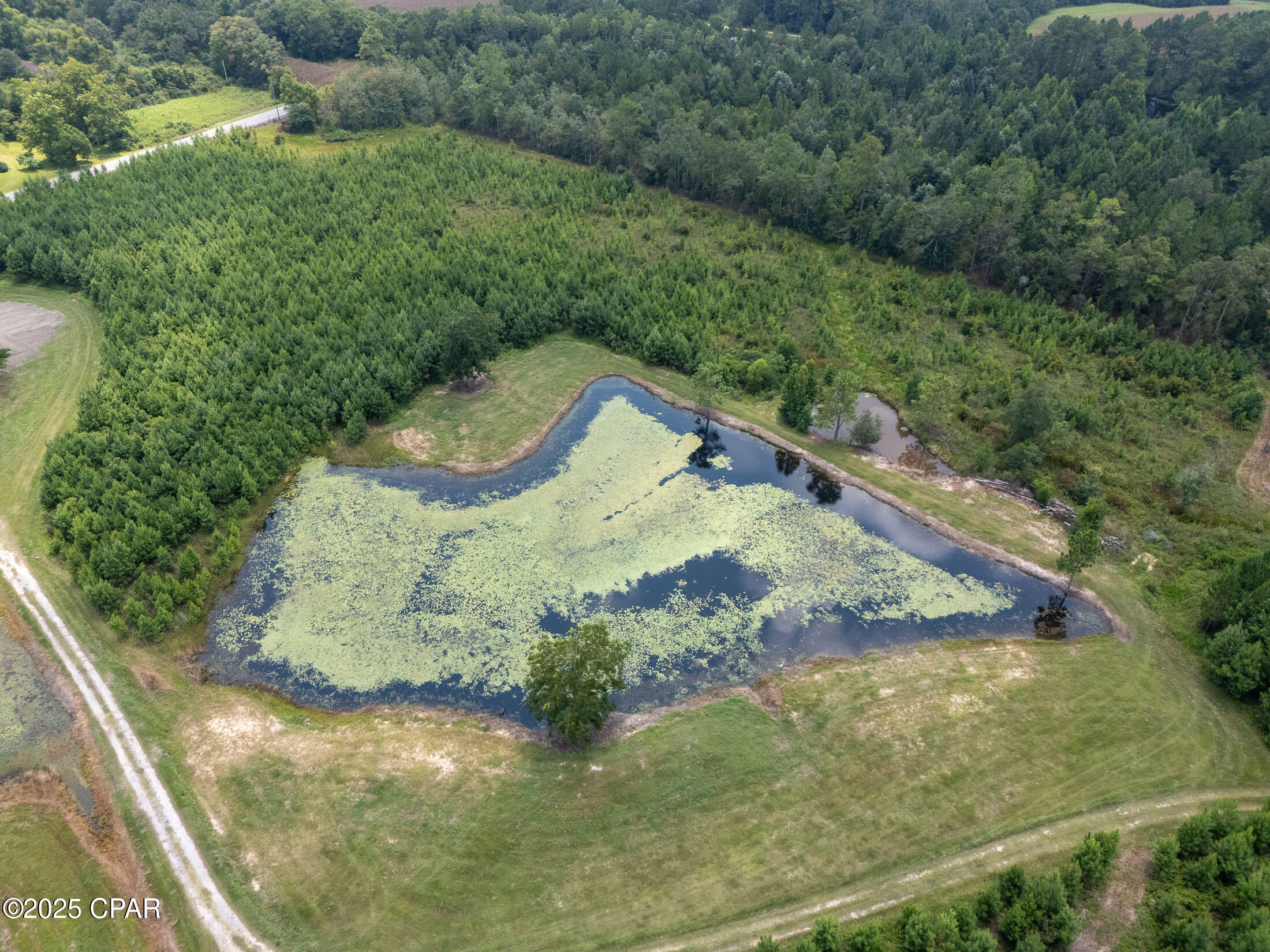 1716 Bradley Road, Westville, Florida image 21