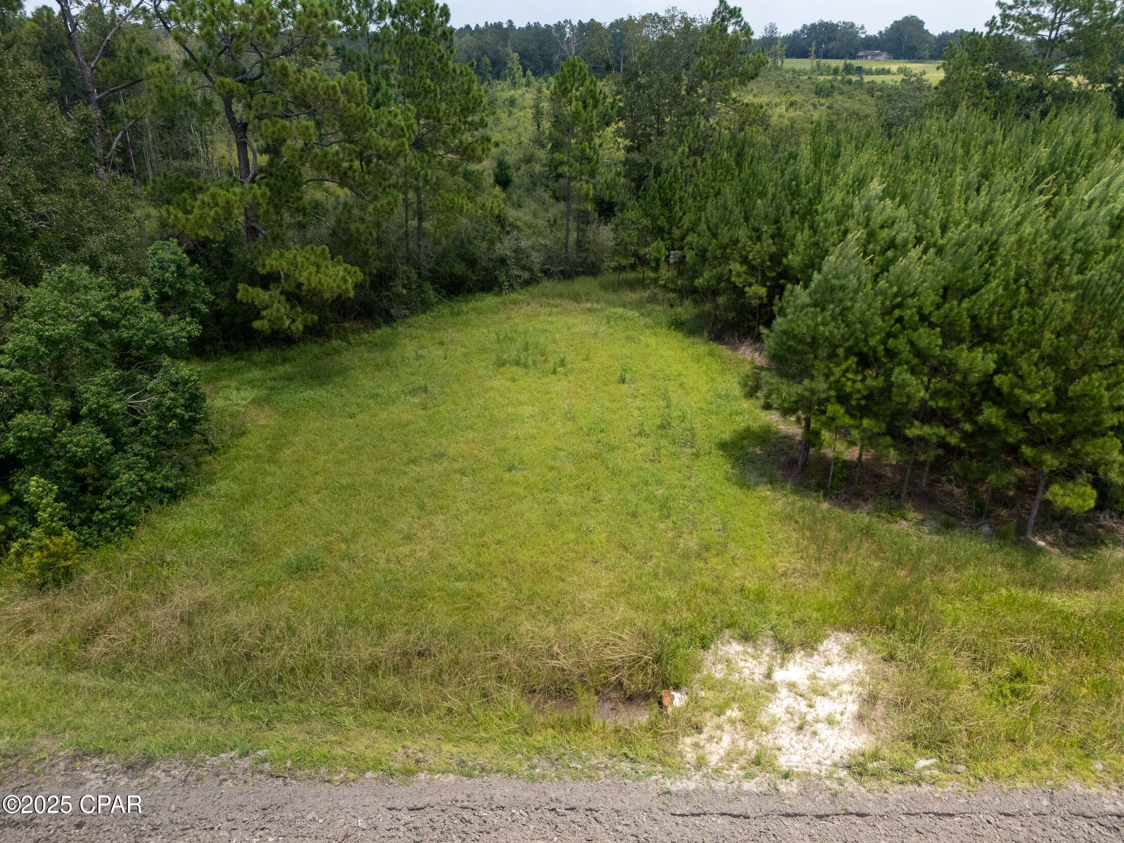 1716 Bradley Road, Westville, Florida image 26