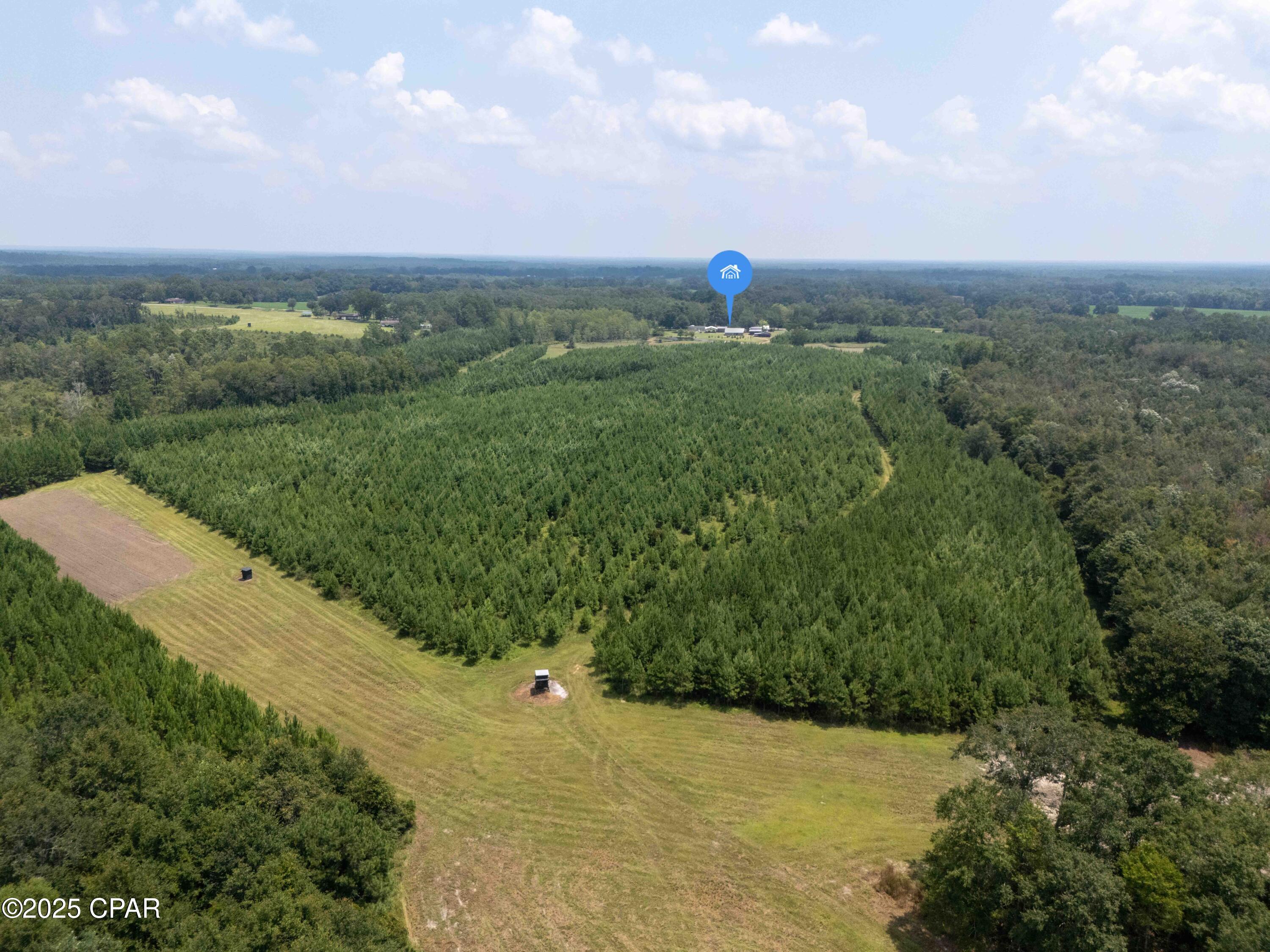 1716 Bradley Road, Westville, Florida image 30