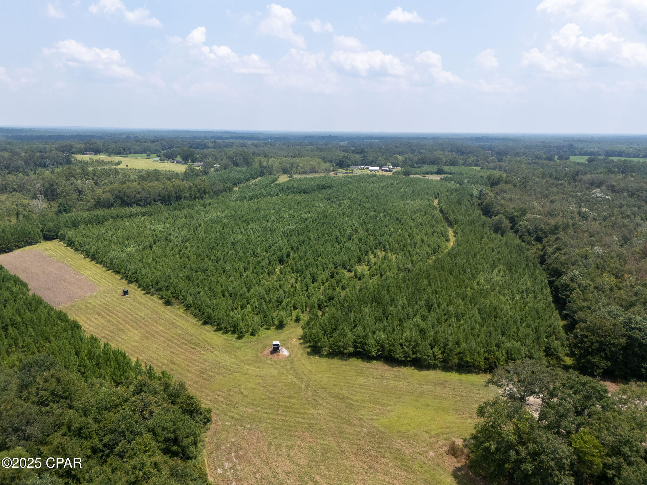 1716 Bradley Road, Westville, Florida image 31