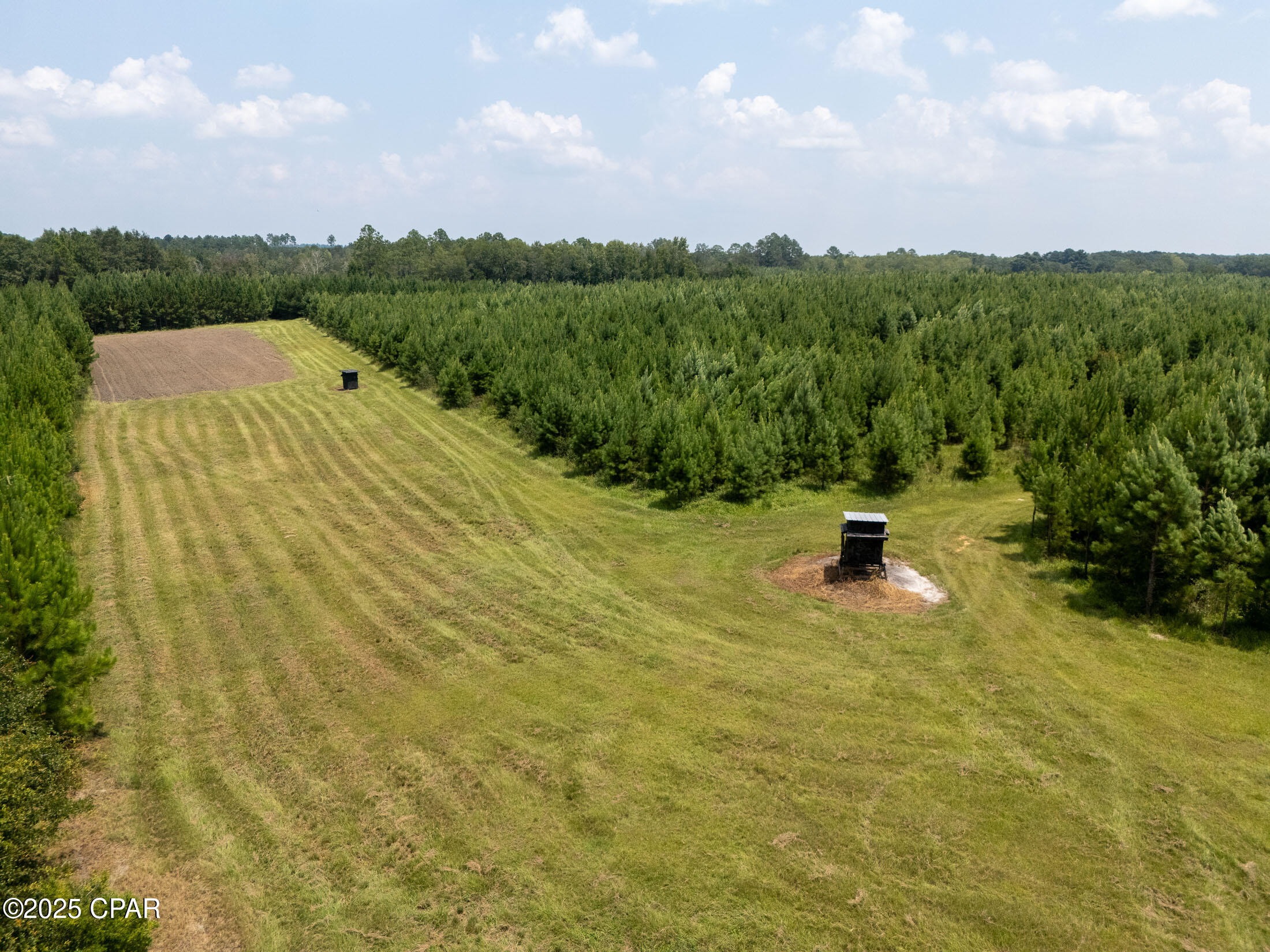 1716 Bradley Road, Westville, Florida image 32